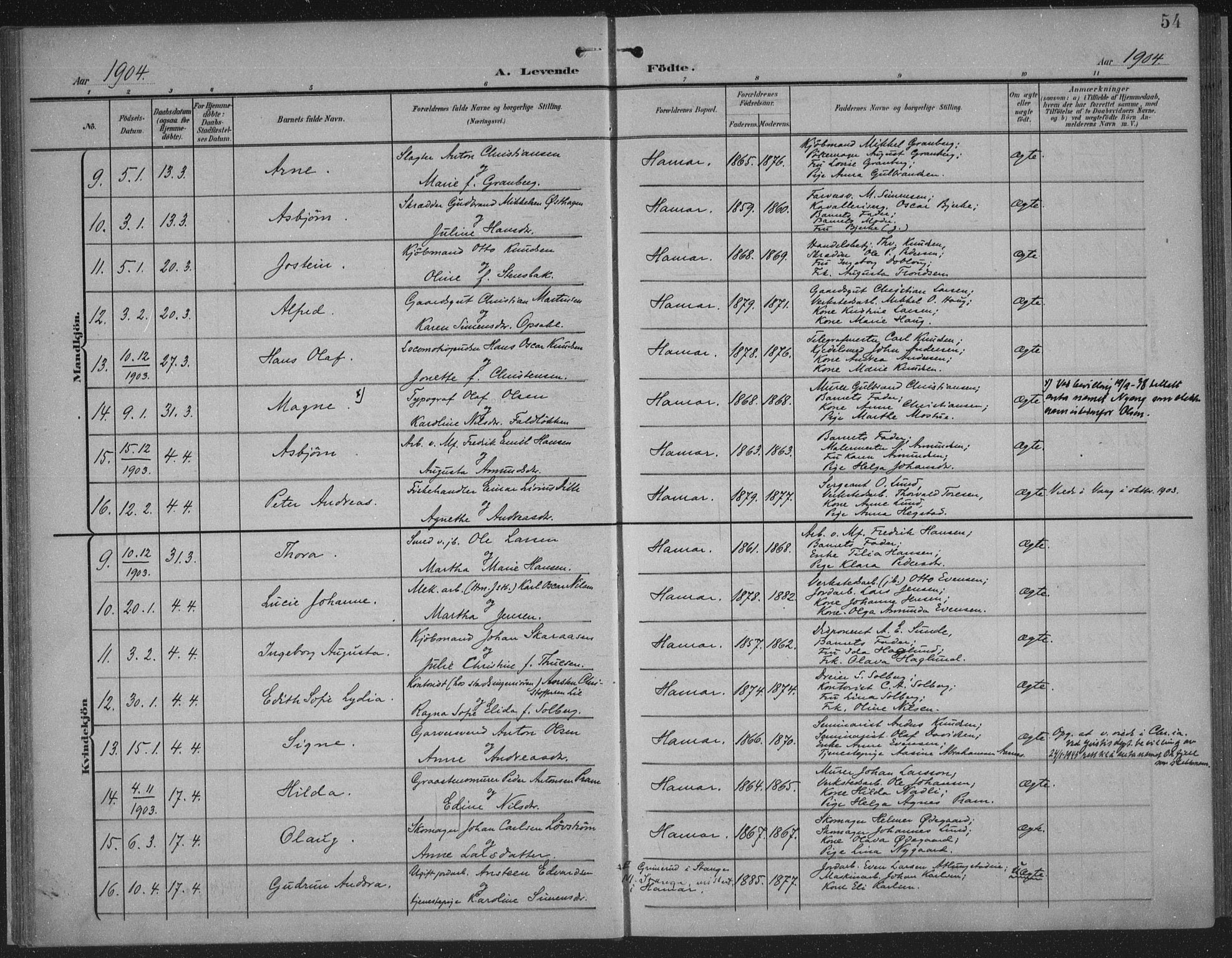 Hamar prestekontor, AV/SAH-DOMPH-002/H/Ha/Haa/L0001: Parish register (official) no. 1, 1900-1914, p. 54