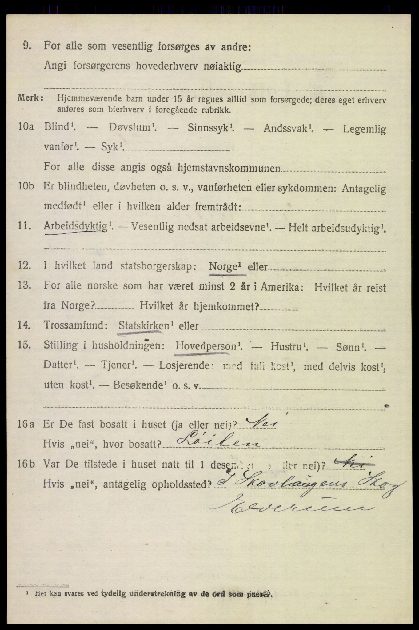 SAH, 1920 census for Elverum, 1920, p. 22533