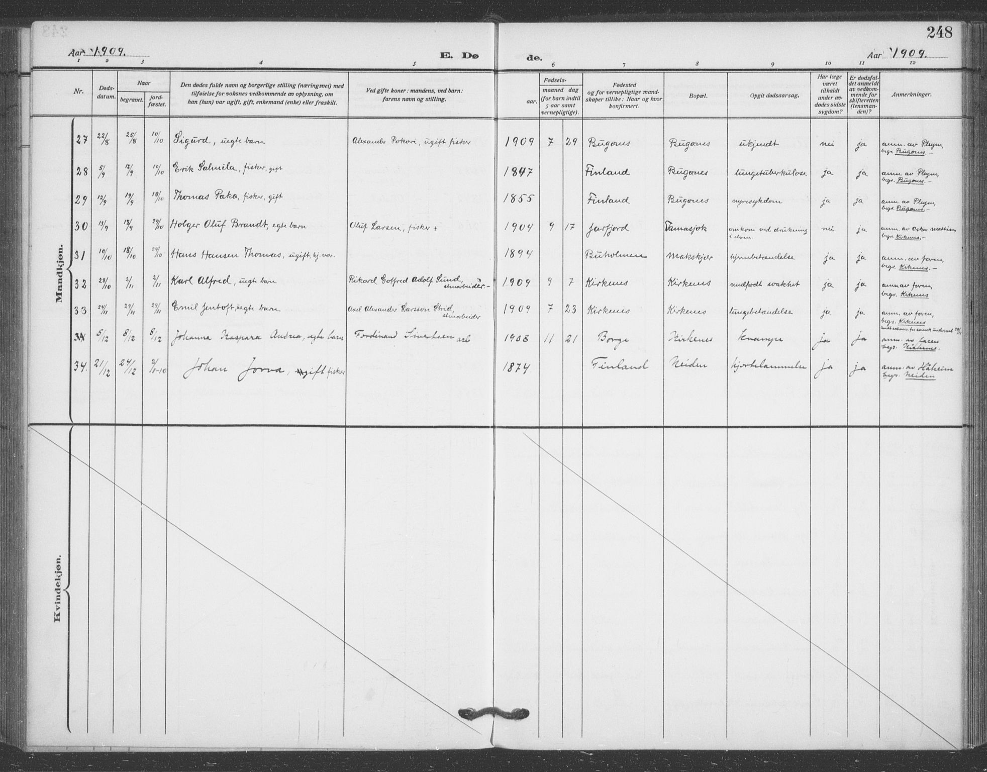 Sør-Varanger sokneprestkontor, AV/SATØ-S-1331/H/Ha/L0005kirke: Parish register (official) no. 5, 1909-1919, p. 248