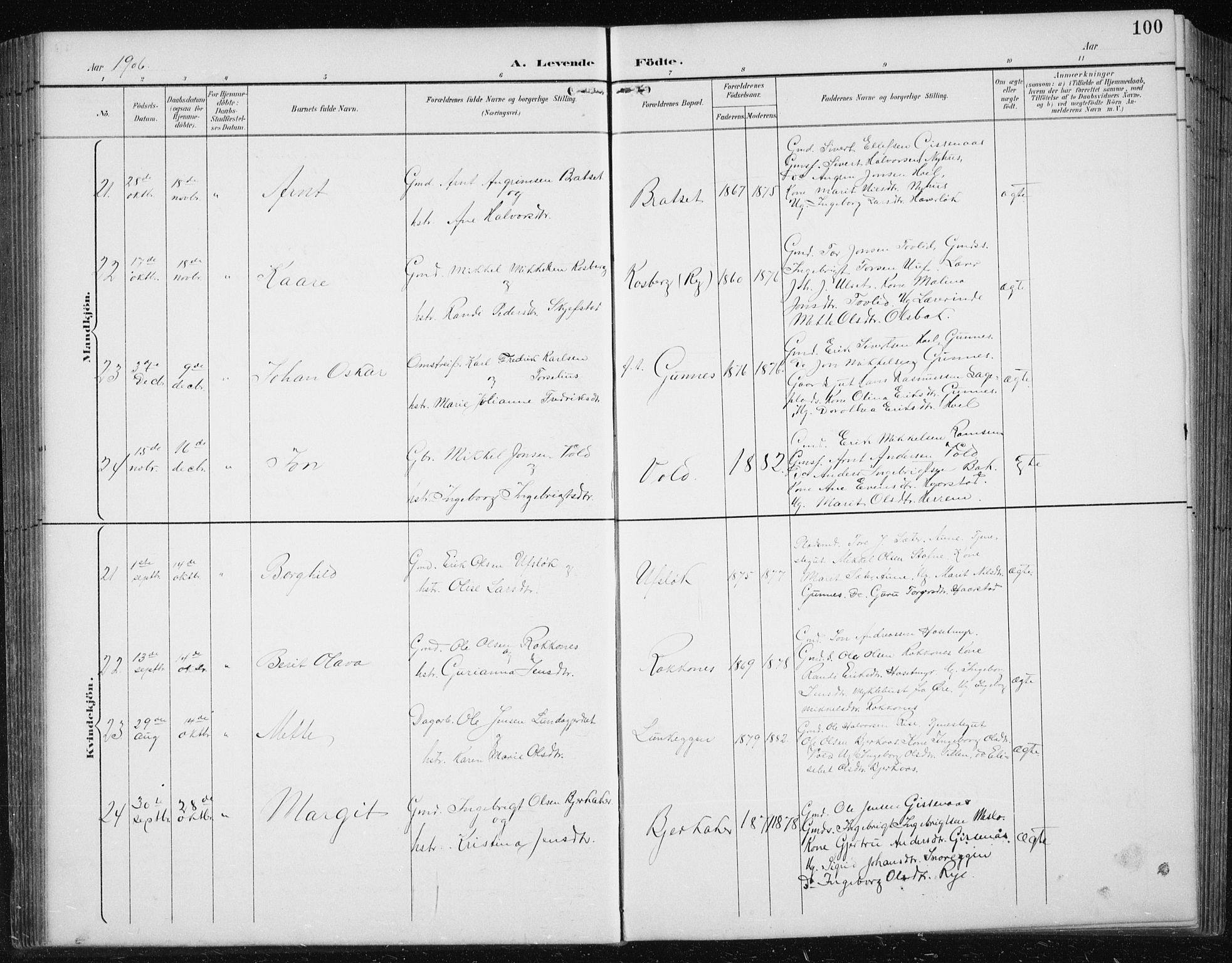 Ministerialprotokoller, klokkerbøker og fødselsregistre - Sør-Trøndelag, SAT/A-1456/674/L0876: Parish register (copy) no. 674C03, 1892-1912, p. 100