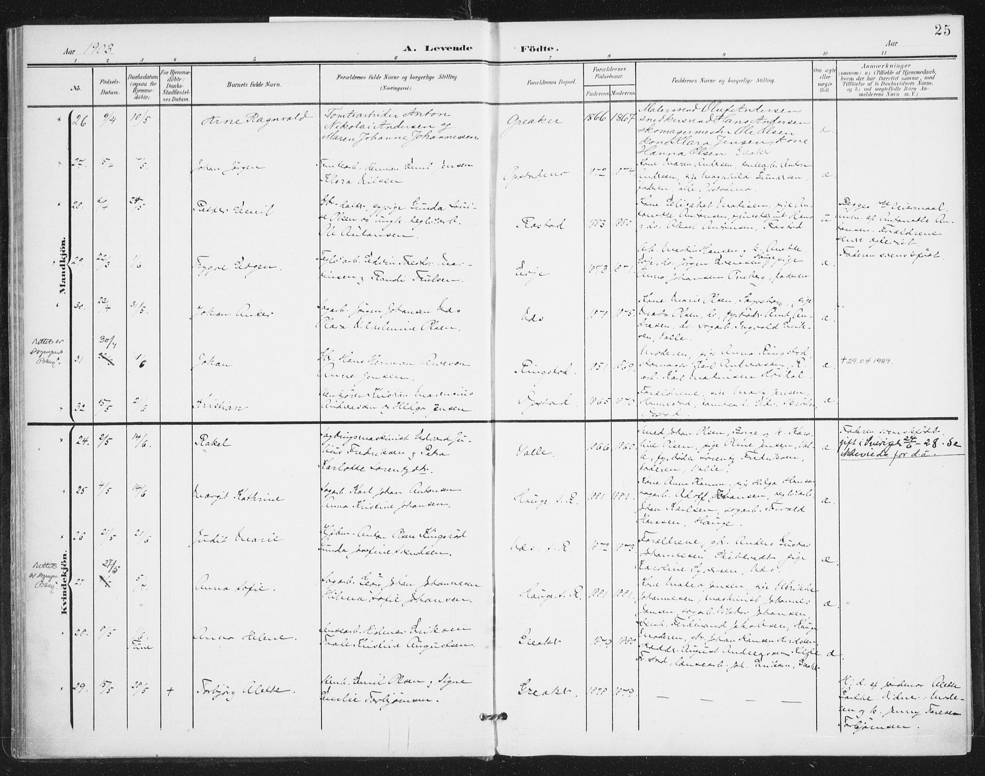 Rolvsøy prestekontor Kirkebøker, AV/SAO-A-2004/F/Fa/L0001: Parish register (official) no. 1, 1901-1909, p. 25