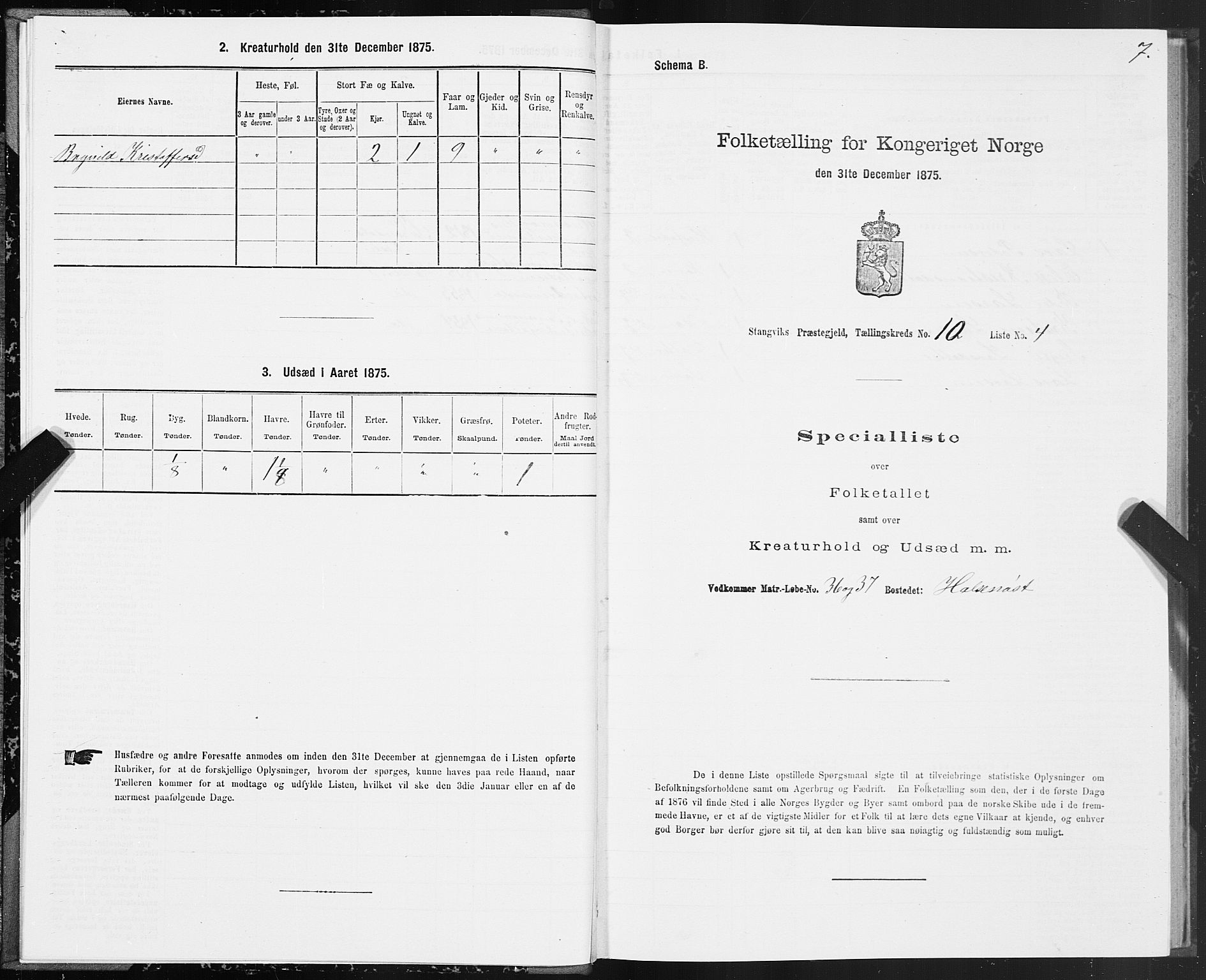 SAT, 1875 census for 1564P Stangvik, 1875, p. 5007