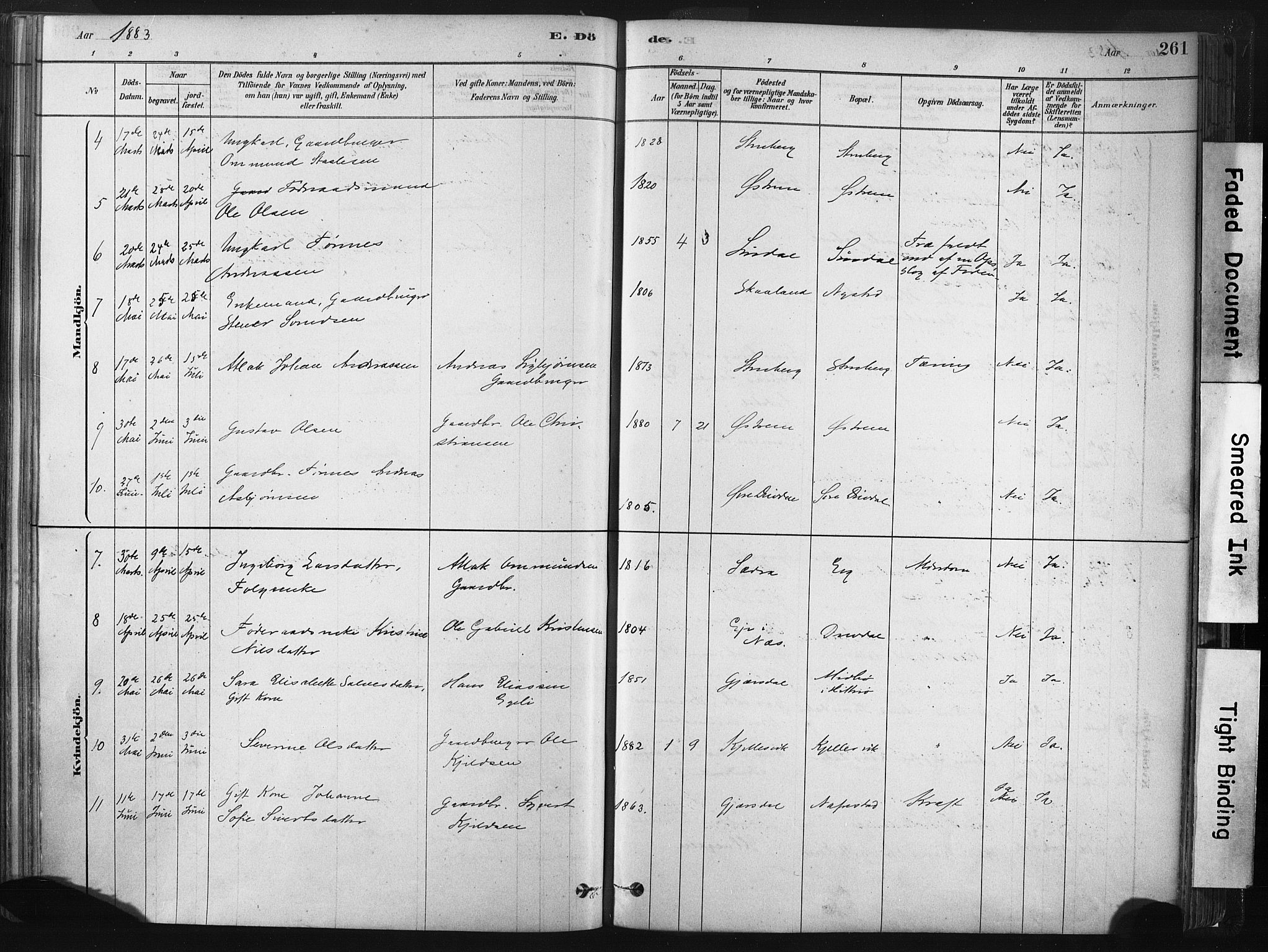 Lund sokneprestkontor, AV/SAST-A-101809/S06/L0011: Parish register (official) no. A 10, 1877-1904, p. 261