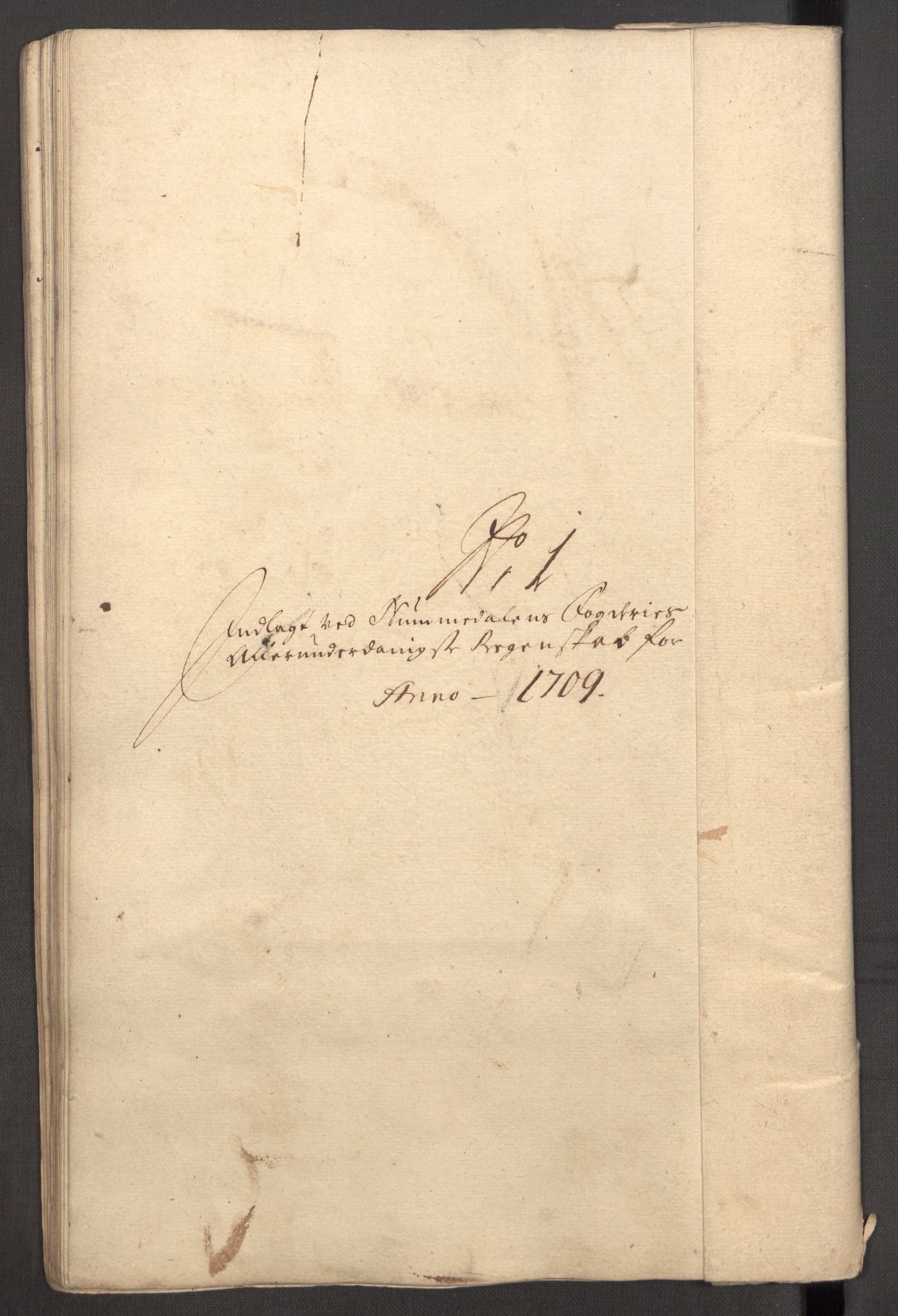 Rentekammeret inntil 1814, Reviderte regnskaper, Fogderegnskap, AV/RA-EA-4092/R64/L4431: Fogderegnskap Namdal, 1709-1710, p. 91