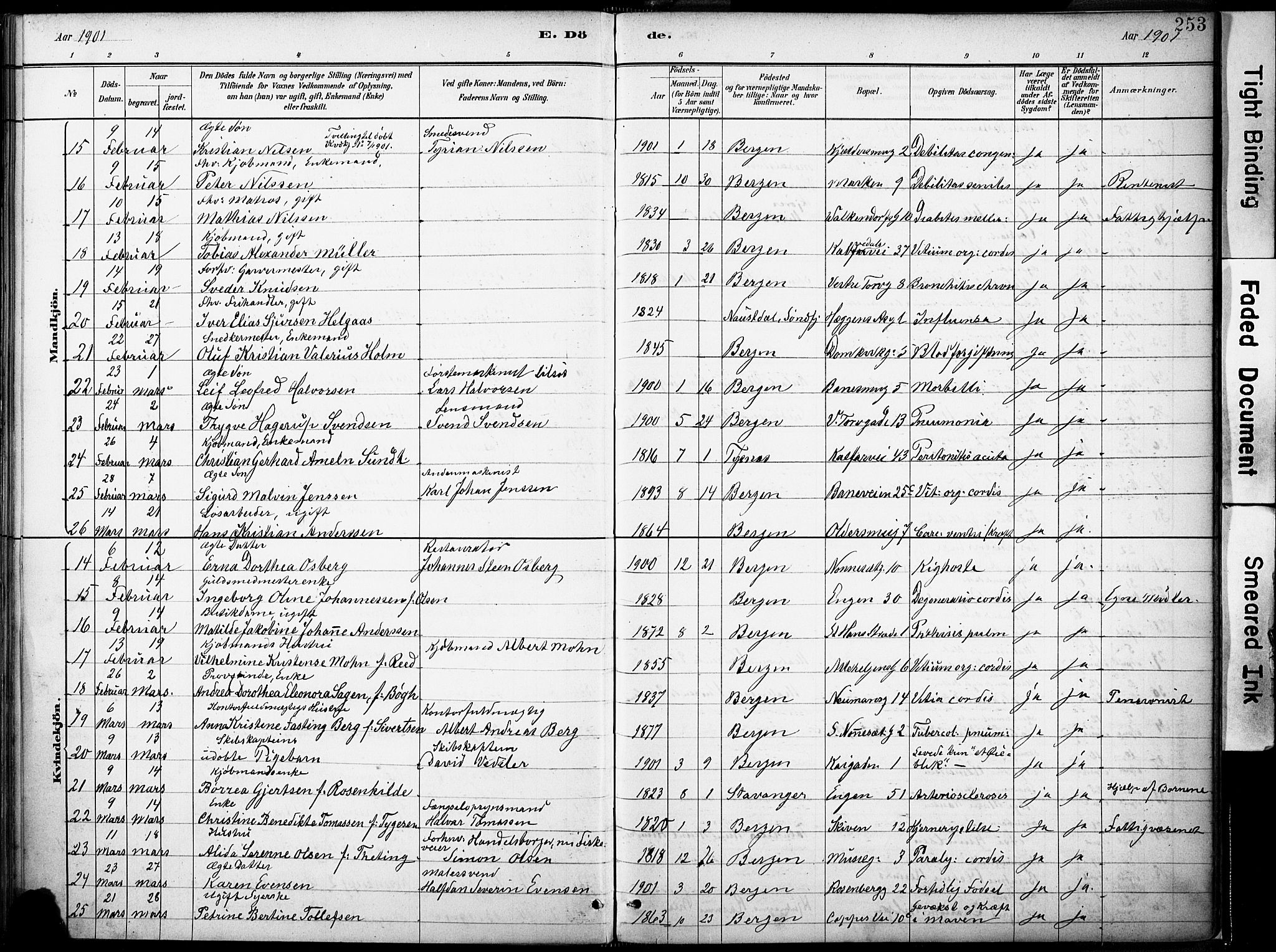 Domkirken sokneprestembete, AV/SAB-A-74801/H/Haa/L0043: Parish register (official) no. E 5, 1882-1904, p. 253