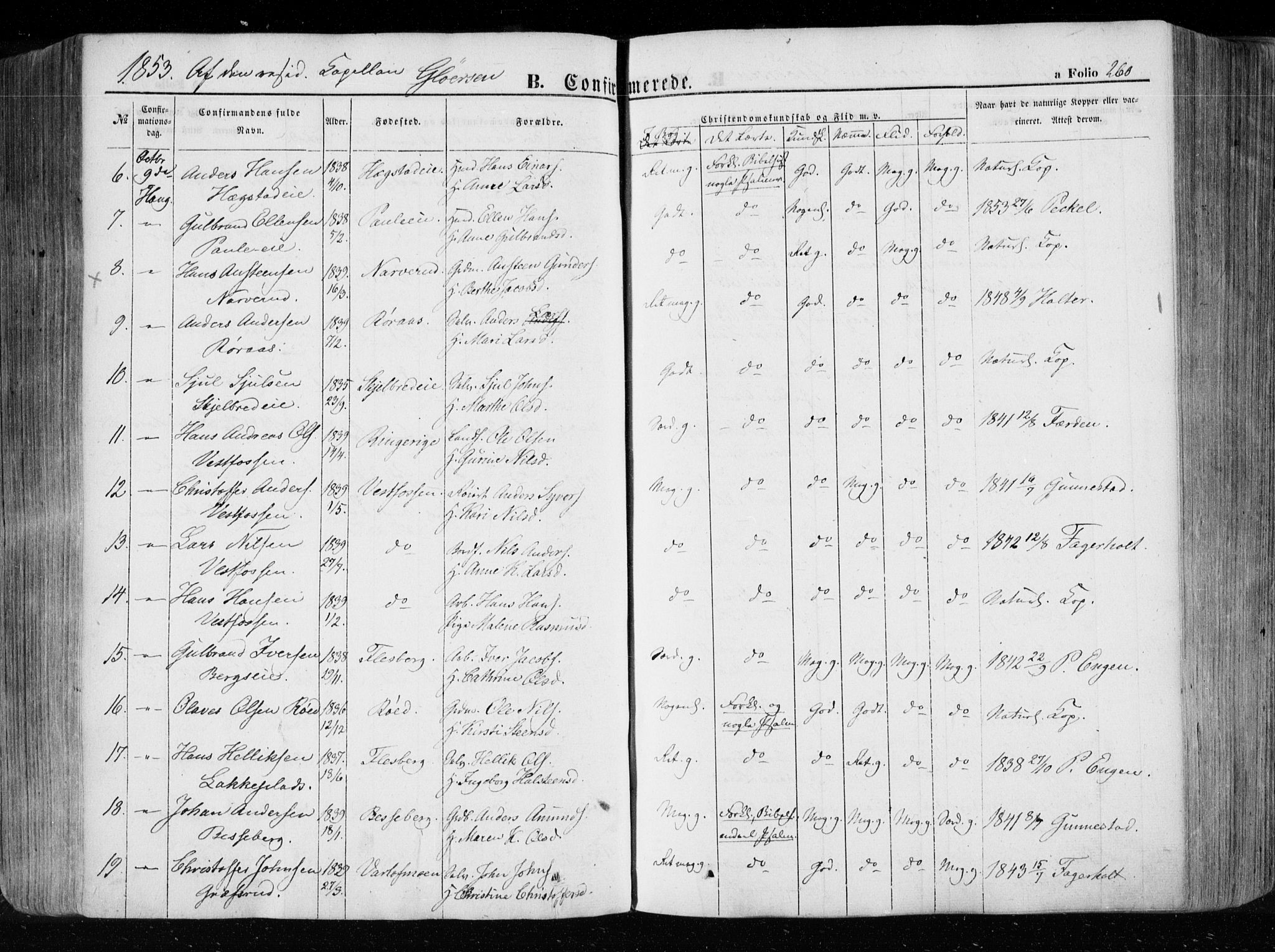 Eiker kirkebøker, SAKO/A-4/F/Fa/L0014: Parish register (official) no. I 14, 1846-1854, p. 260