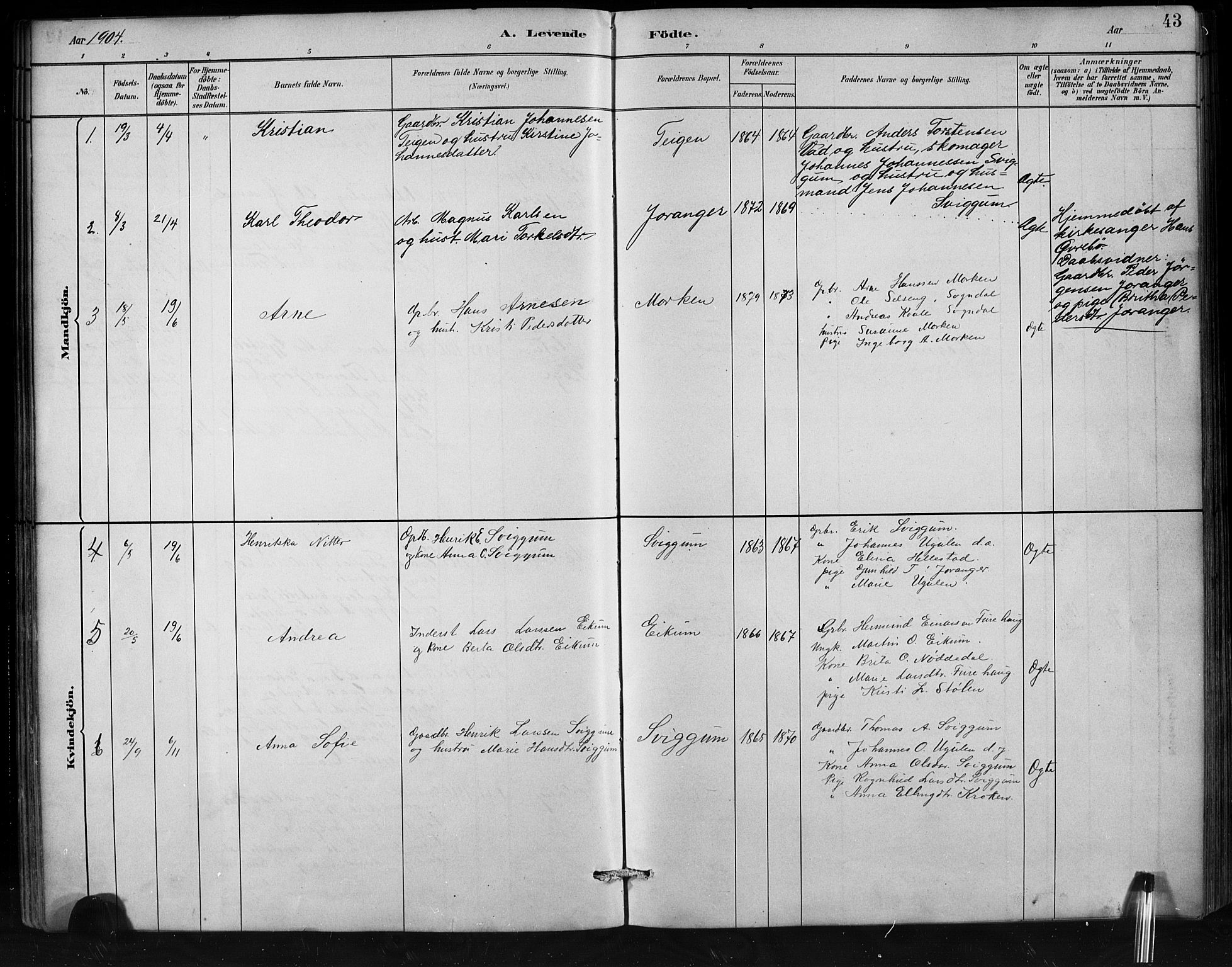 Jostedal sokneprestembete, SAB/A-80601/H/Hab/Habd/L0001: Parish register (copy) no. D 1, 1882-1910, p. 43