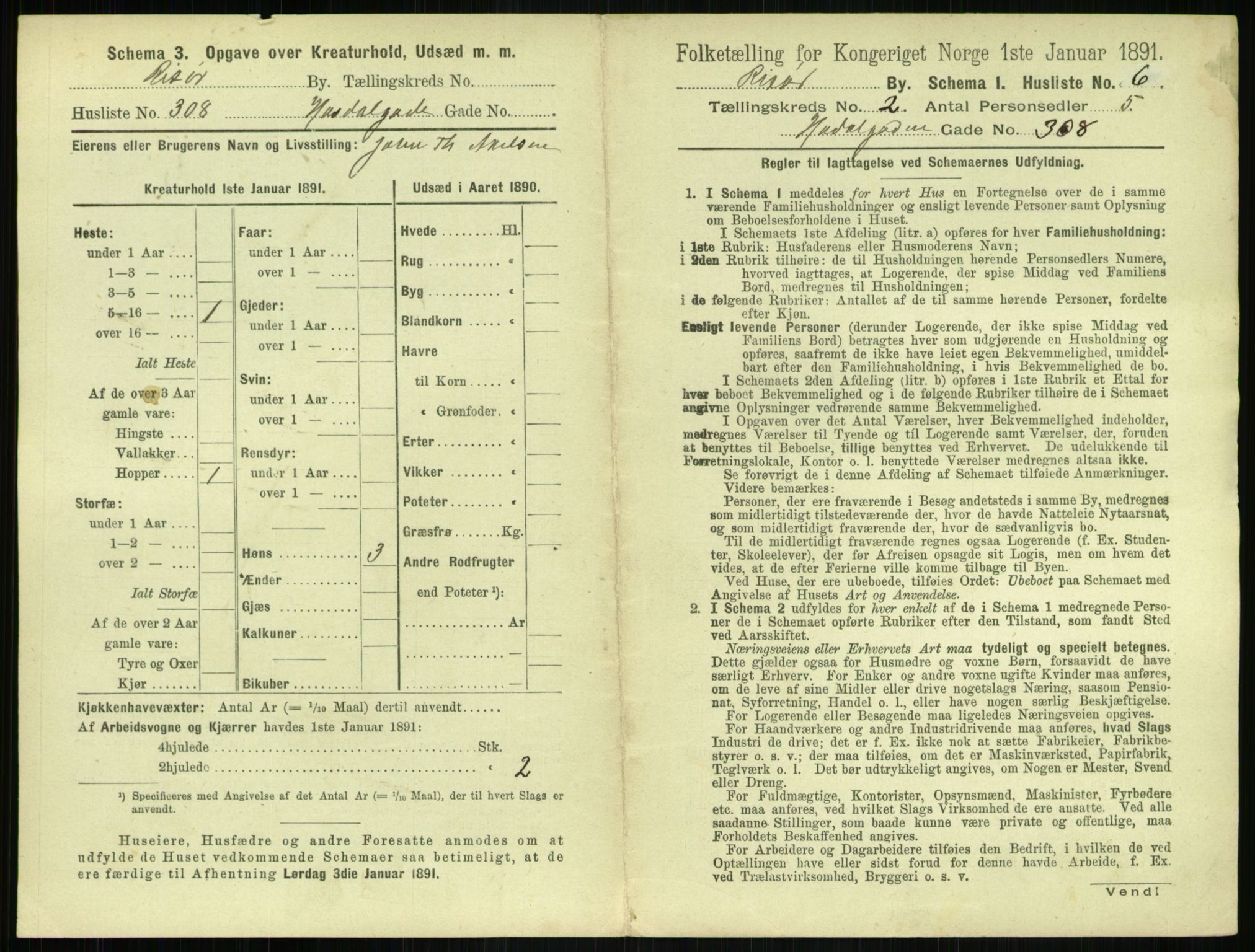 RA, 1891 census for 0901 Risør, 1891, p. 321