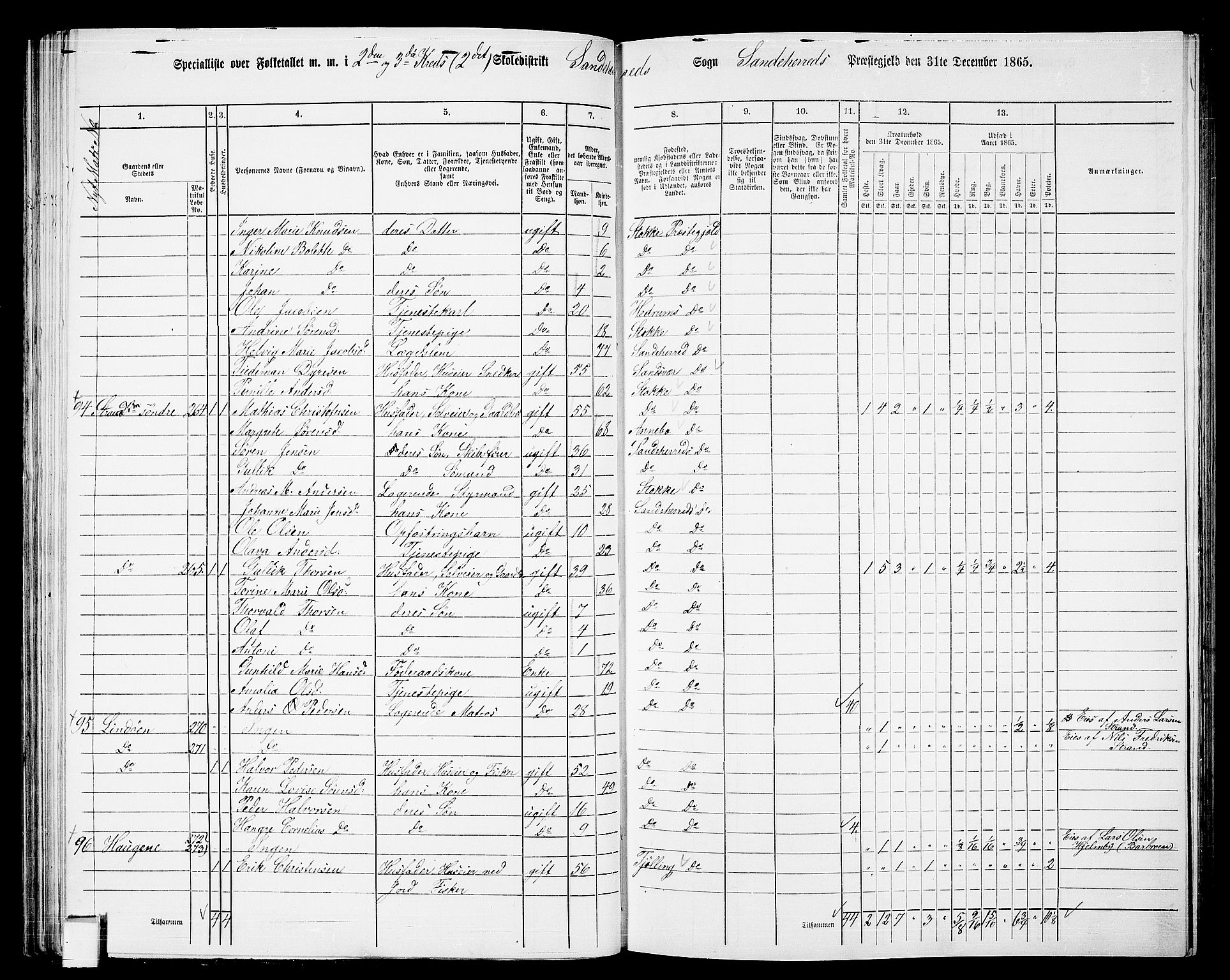 RA, 1865 census for Sandeherred/Sandeherred, 1865, p. 55