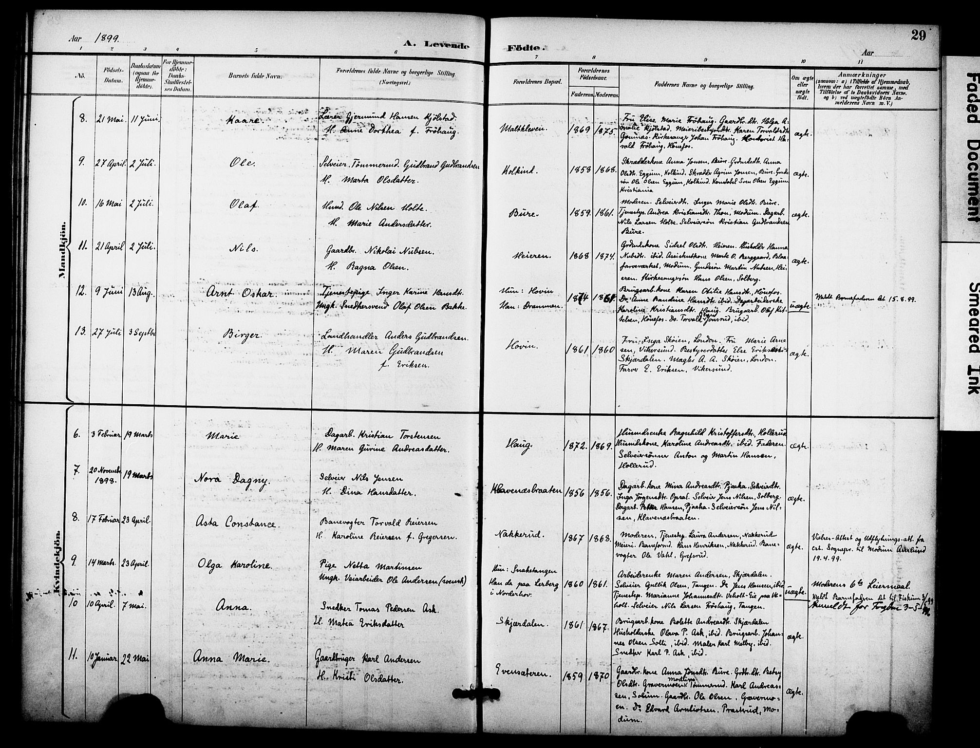 Hole kirkebøker, AV/SAKO-A-228/F/Fb/L0002: Parish register (official) no. II 2, 1892-1906, p. 29