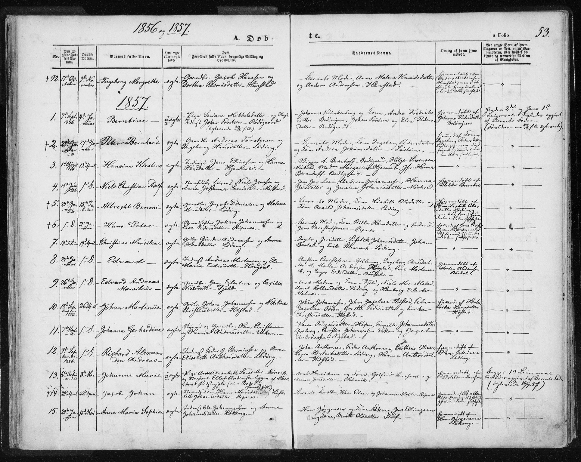 Ministerialprotokoller, klokkerbøker og fødselsregistre - Nordland, AV/SAT-A-1459/801/L0007: Parish register (official) no. 801A07, 1845-1863, p. 53