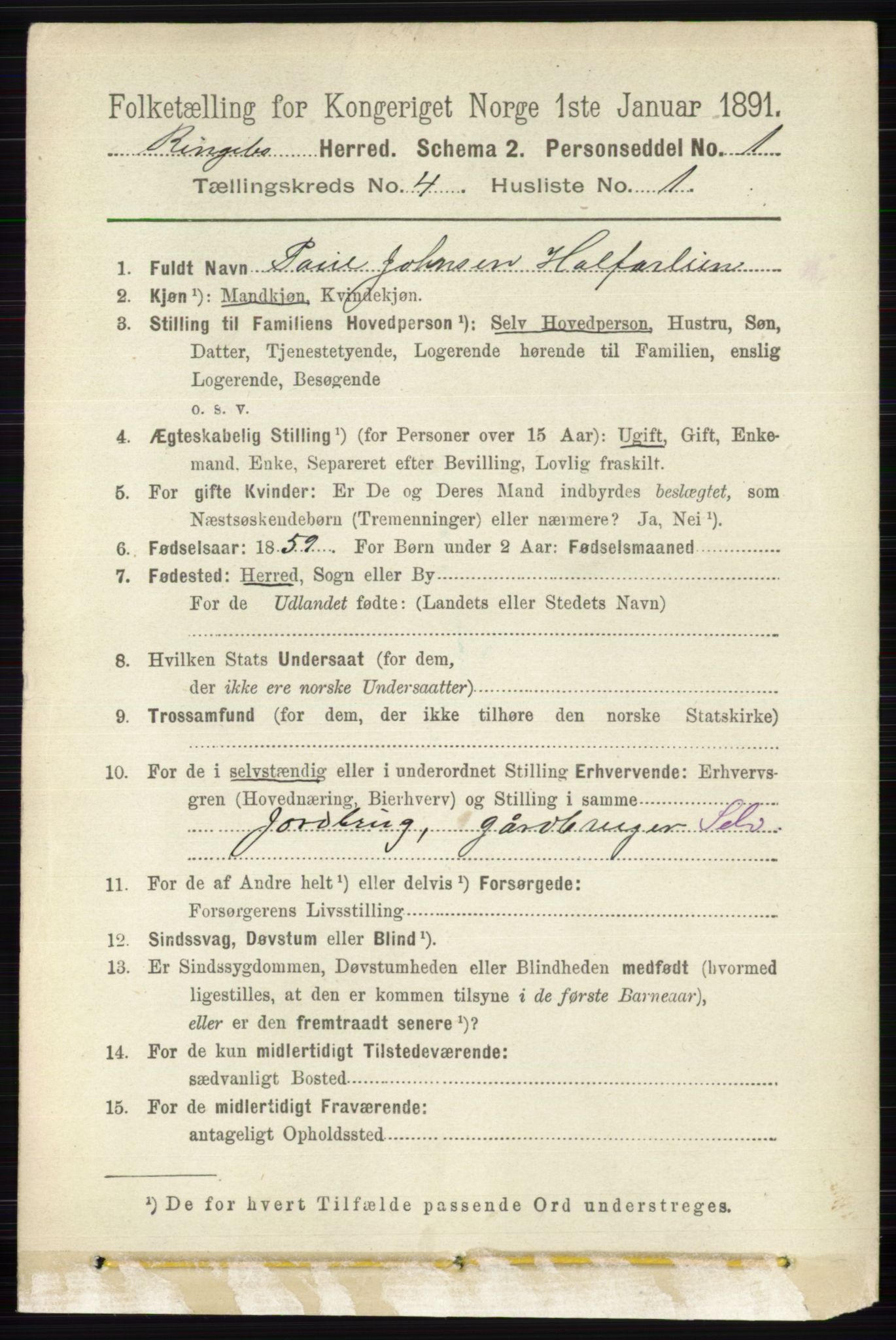 RA, 1891 census for 0520 Ringebu, 1891, p. 1365