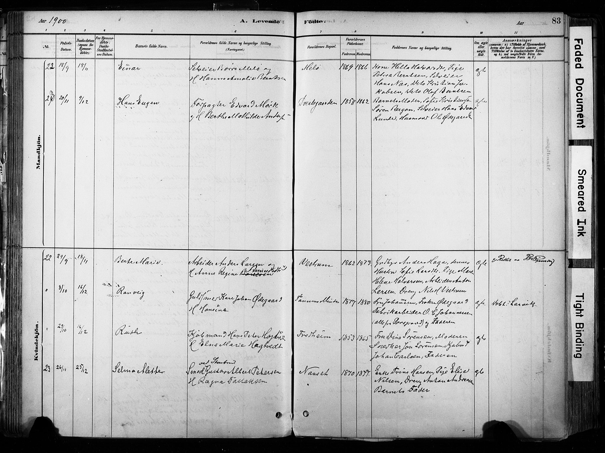 Hedrum kirkebøker, AV/SAKO-A-344/F/Fa/L0009: Parish register (official) no. I 9, 1881-1903, p. 83