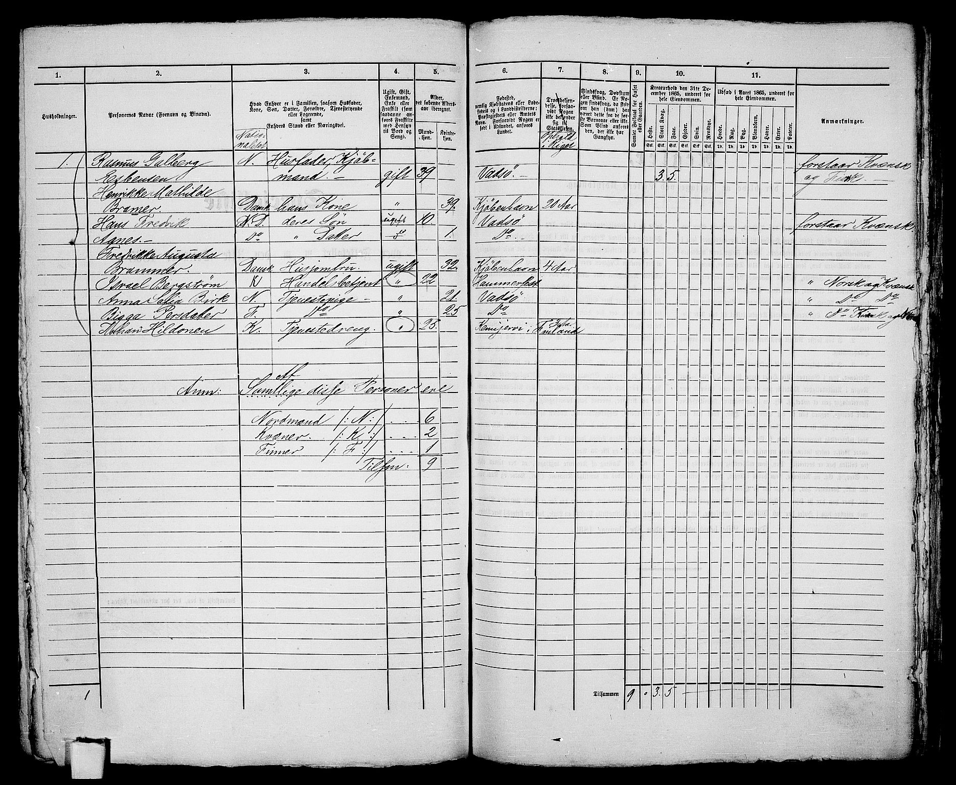 RA, 1865 census for Vadsø/Vadsø, 1865, p. 215