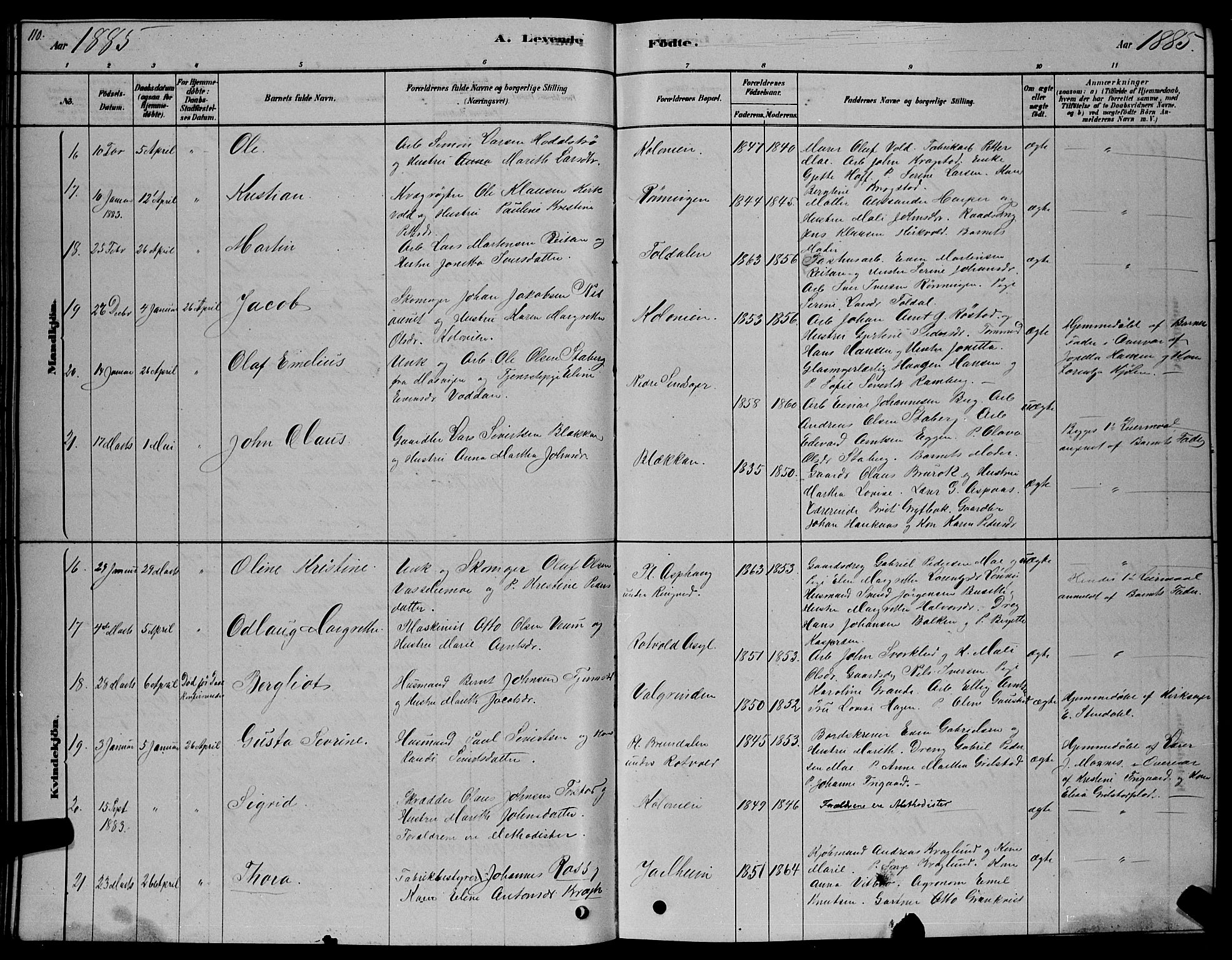 Ministerialprotokoller, klokkerbøker og fødselsregistre - Sør-Trøndelag, AV/SAT-A-1456/606/L0312: Parish register (copy) no. 606C08, 1878-1894, p. 110