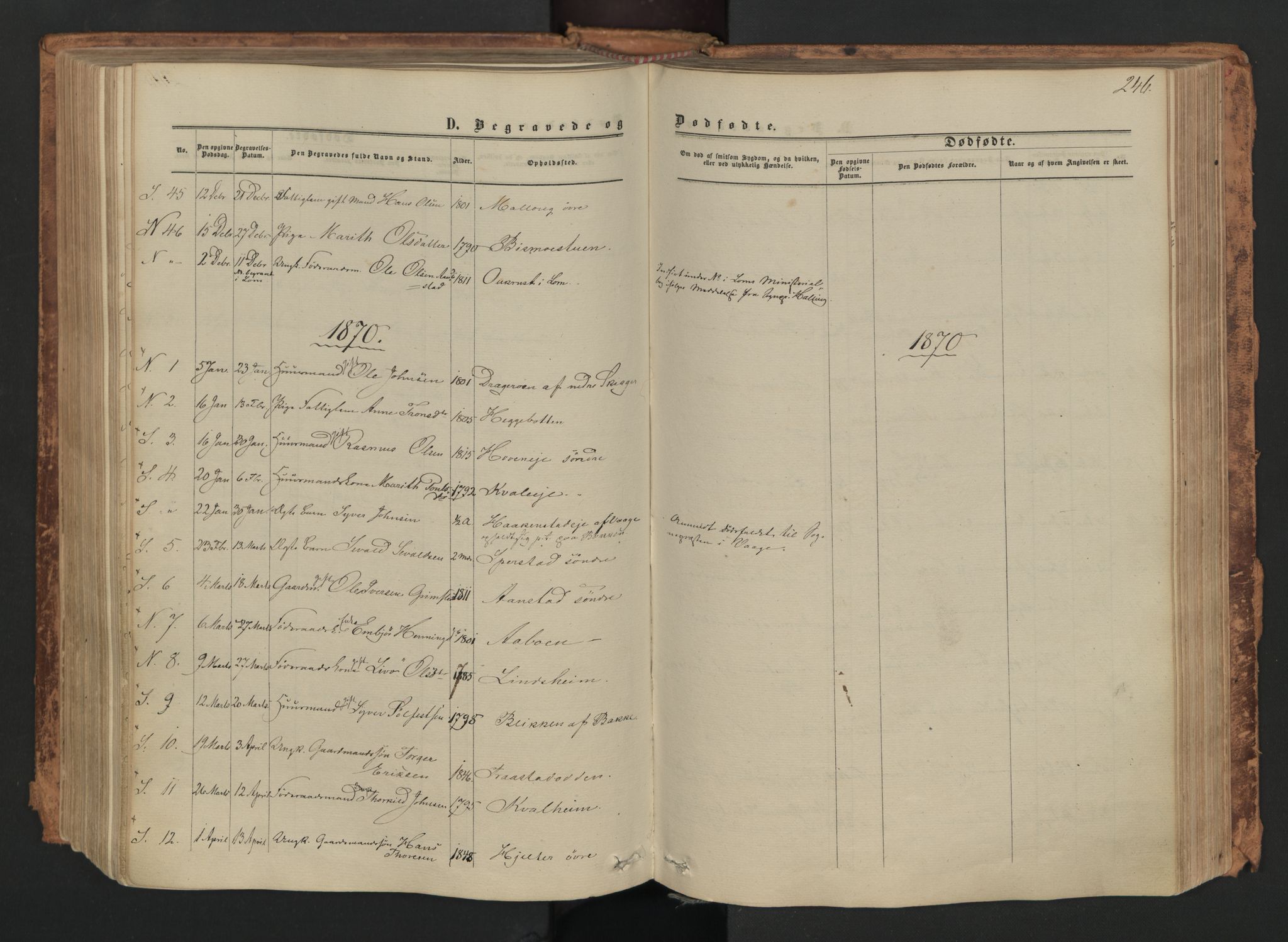 Skjåk prestekontor, SAH/PREST-072/H/Ha/Haa/L0001: Parish register (official) no. 1, 1863-1879, p. 246