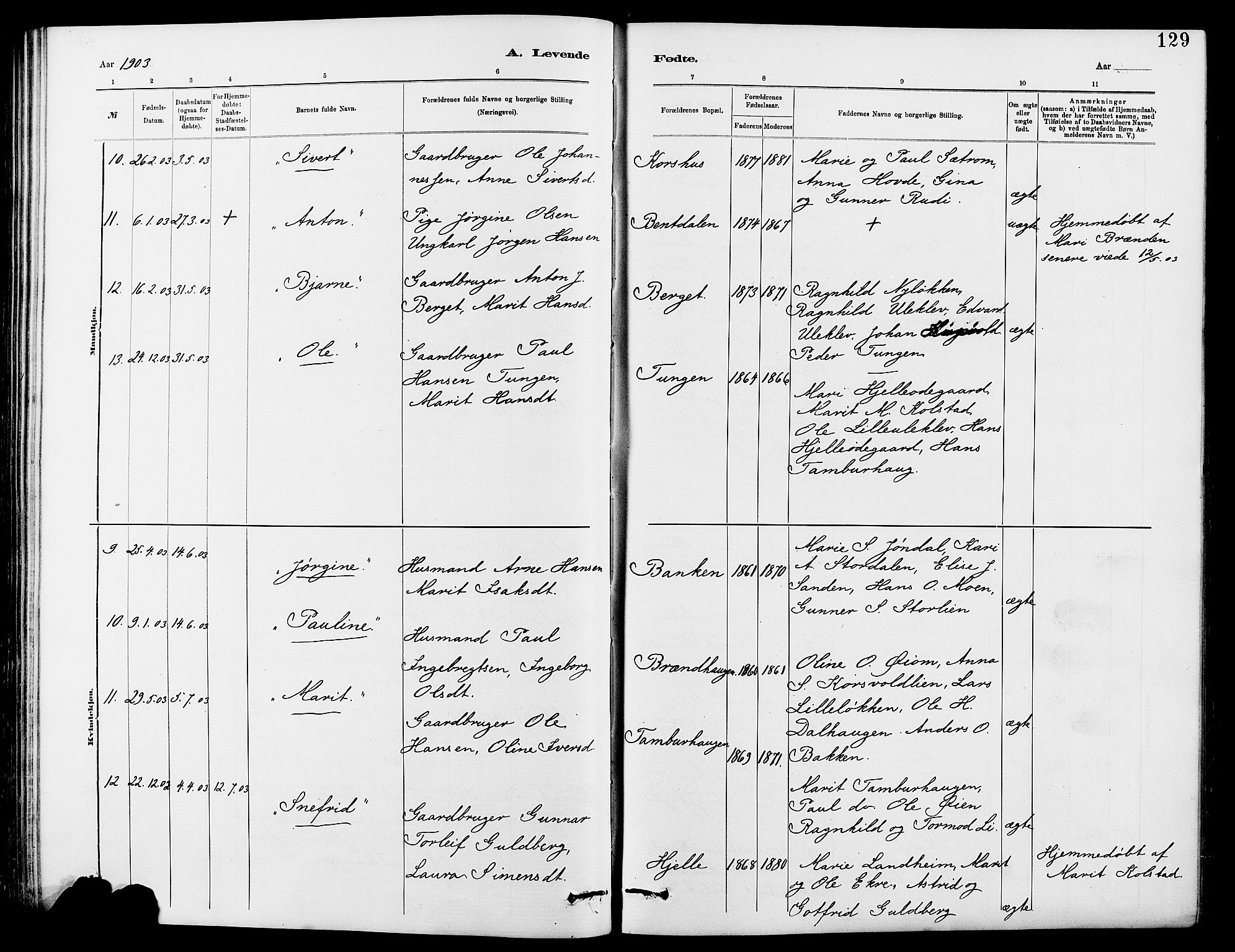 Dovre prestekontor, AV/SAH-PREST-066/H/Ha/Hab/L0002: Parish register (copy) no. 2, 1881-1907, p. 129