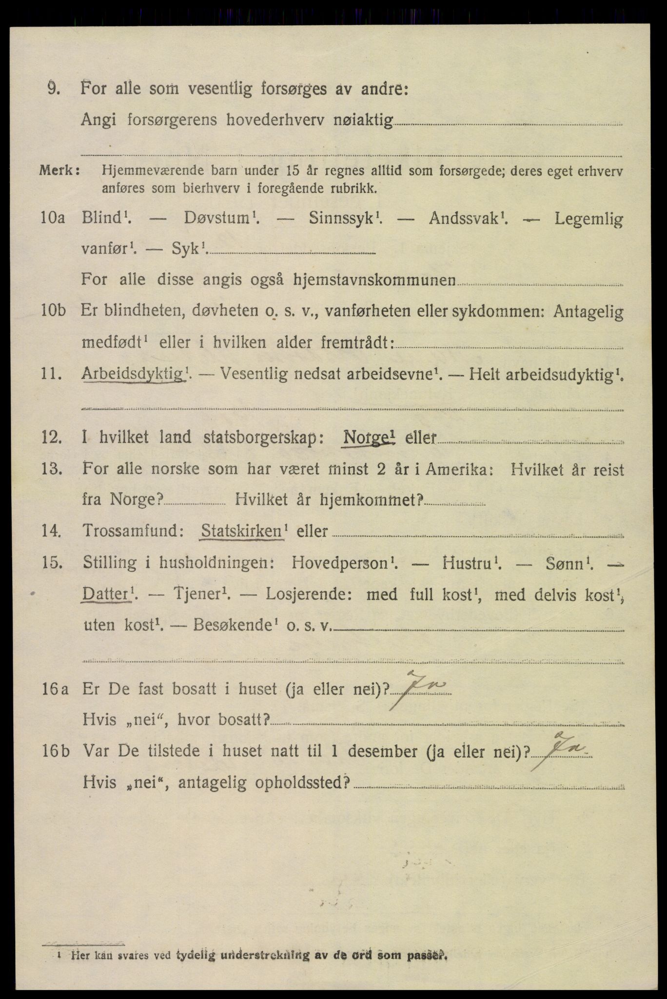 SAK, 1920 census for Hornnes, 1920, p. 1358