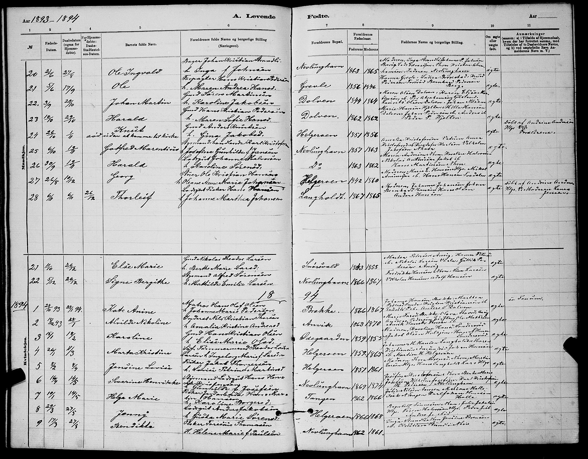 Brunlanes kirkebøker, AV/SAKO-A-342/G/Gb/L0002: Parish register (copy) no. II 2, 1878-1902