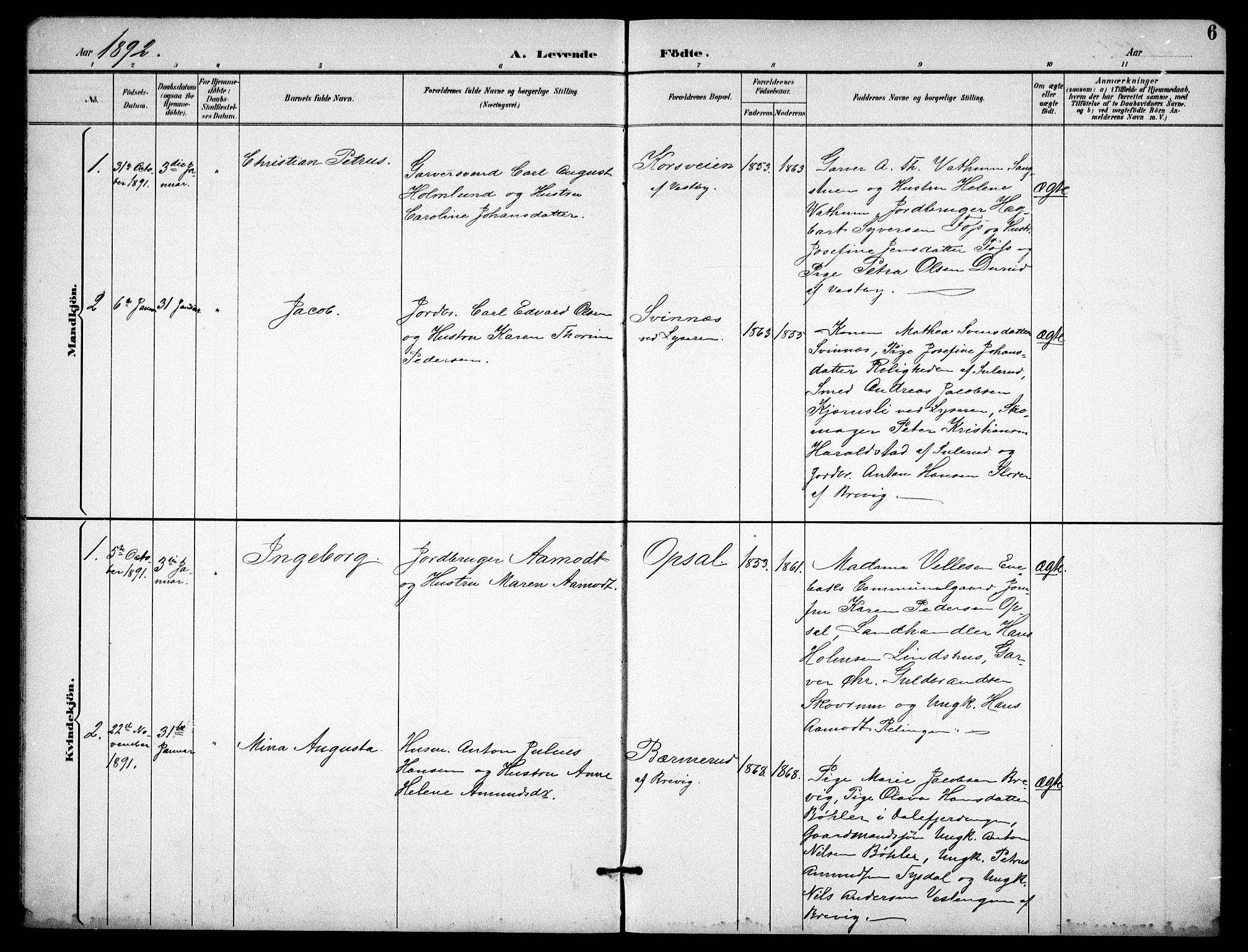 Enebakk prestekontor Kirkebøker, AV/SAO-A-10171c/G/Gb/L0002: Parish register (copy) no. II 2, 1891-1903, p. 6