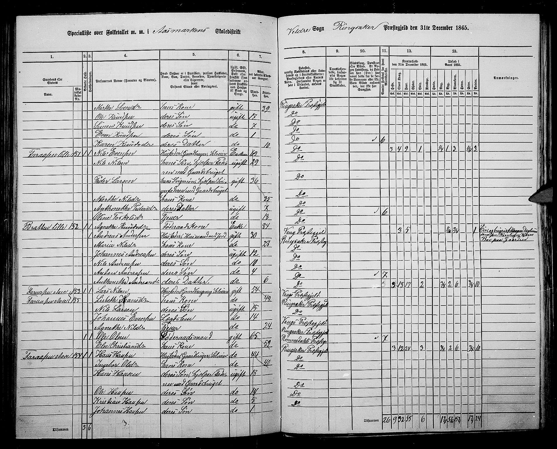 RA, 1865 census for Ringsaker, 1865, p. 214