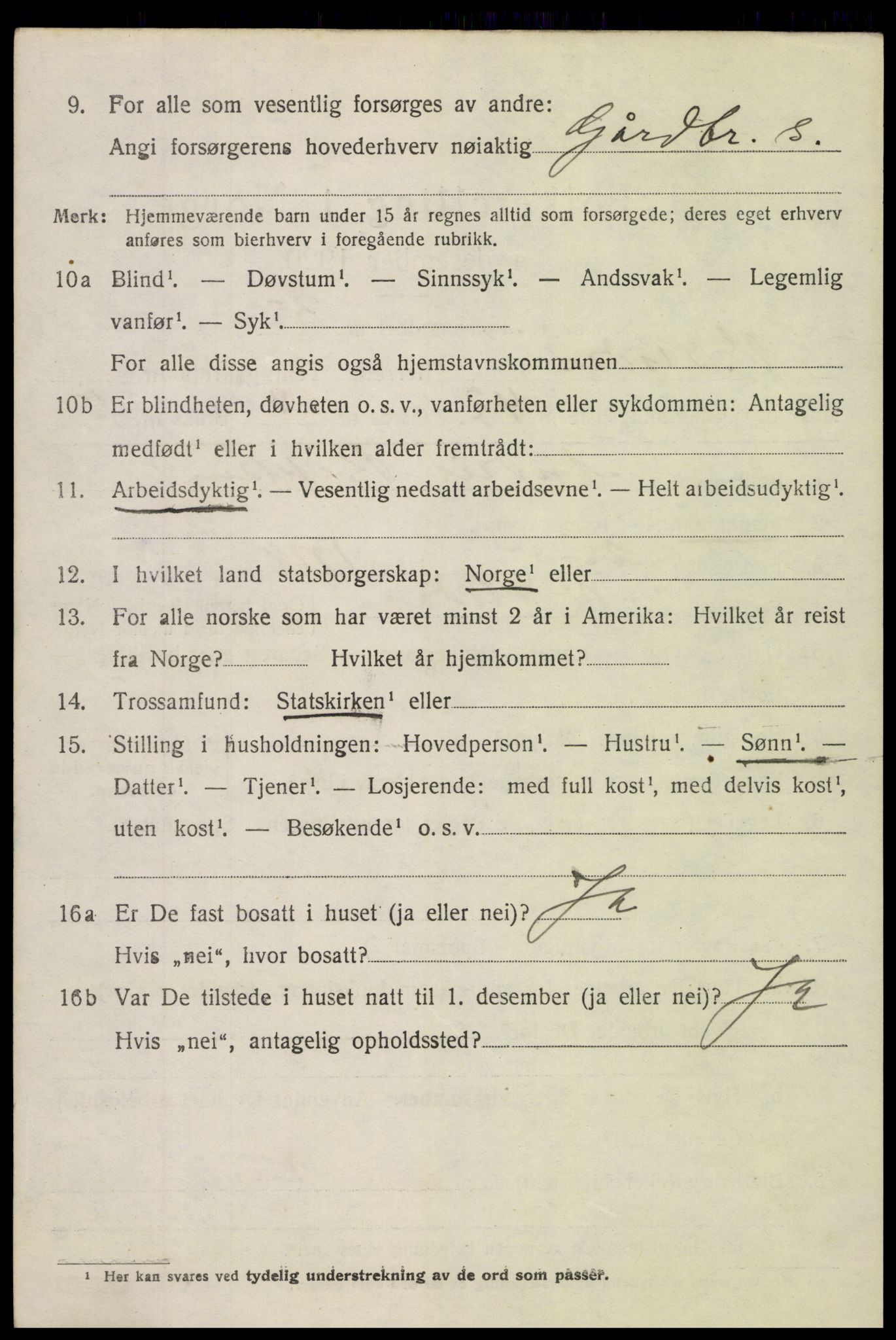 SAH, 1920 census for Vestre Slidre, 1920, p. 3667