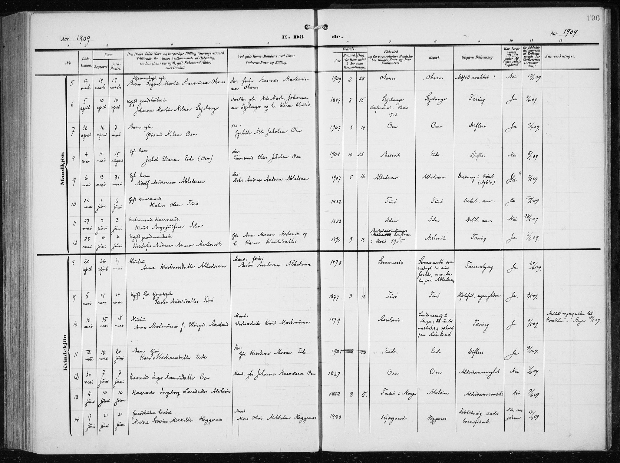 Herdla Sokneprestembete, AV/SAB-A-75701/H/Haa: Parish register (official) no. A 5, 1905-1918, p. 196