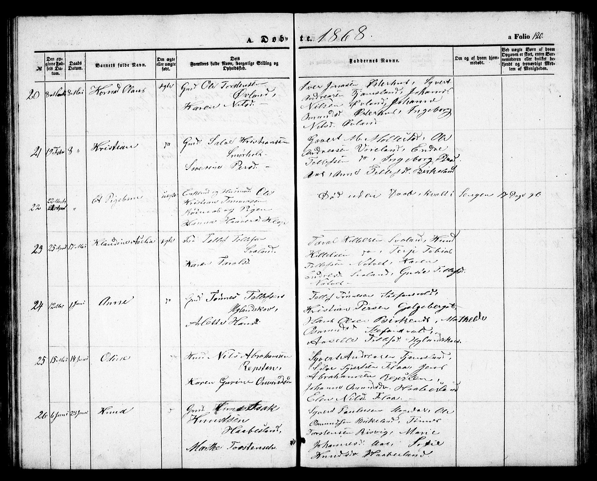 Birkenes sokneprestkontor, AV/SAK-1111-0004/F/Fb/L0002: Parish register (copy) no. B 2, 1849-1876, p. 120