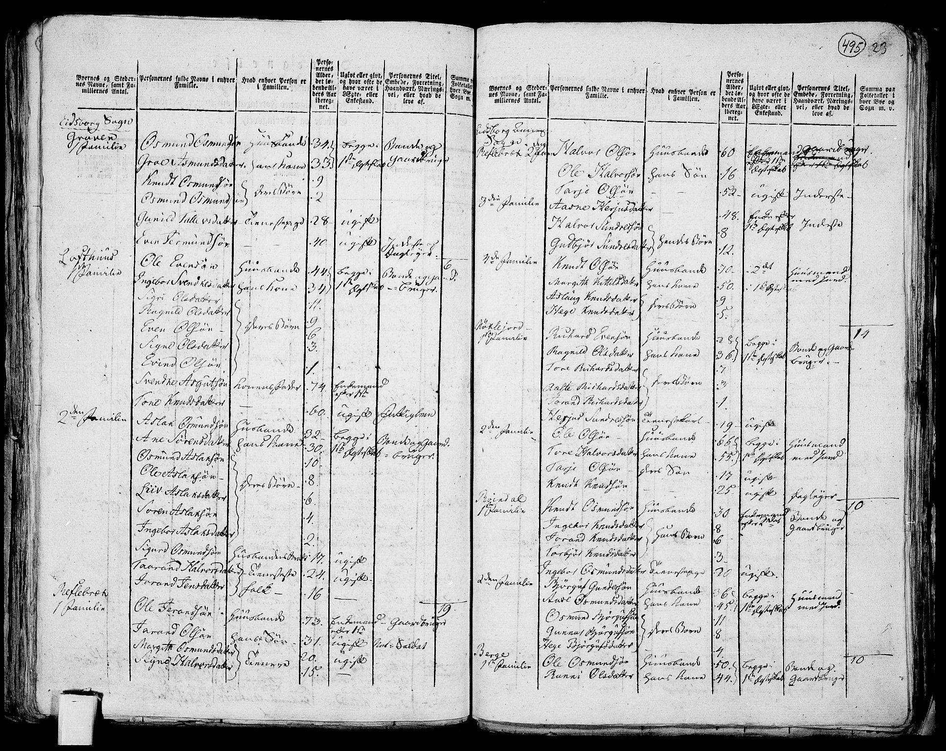 RA, 1801 census for 0833P Lårdal, 1801, p. 494b-495a