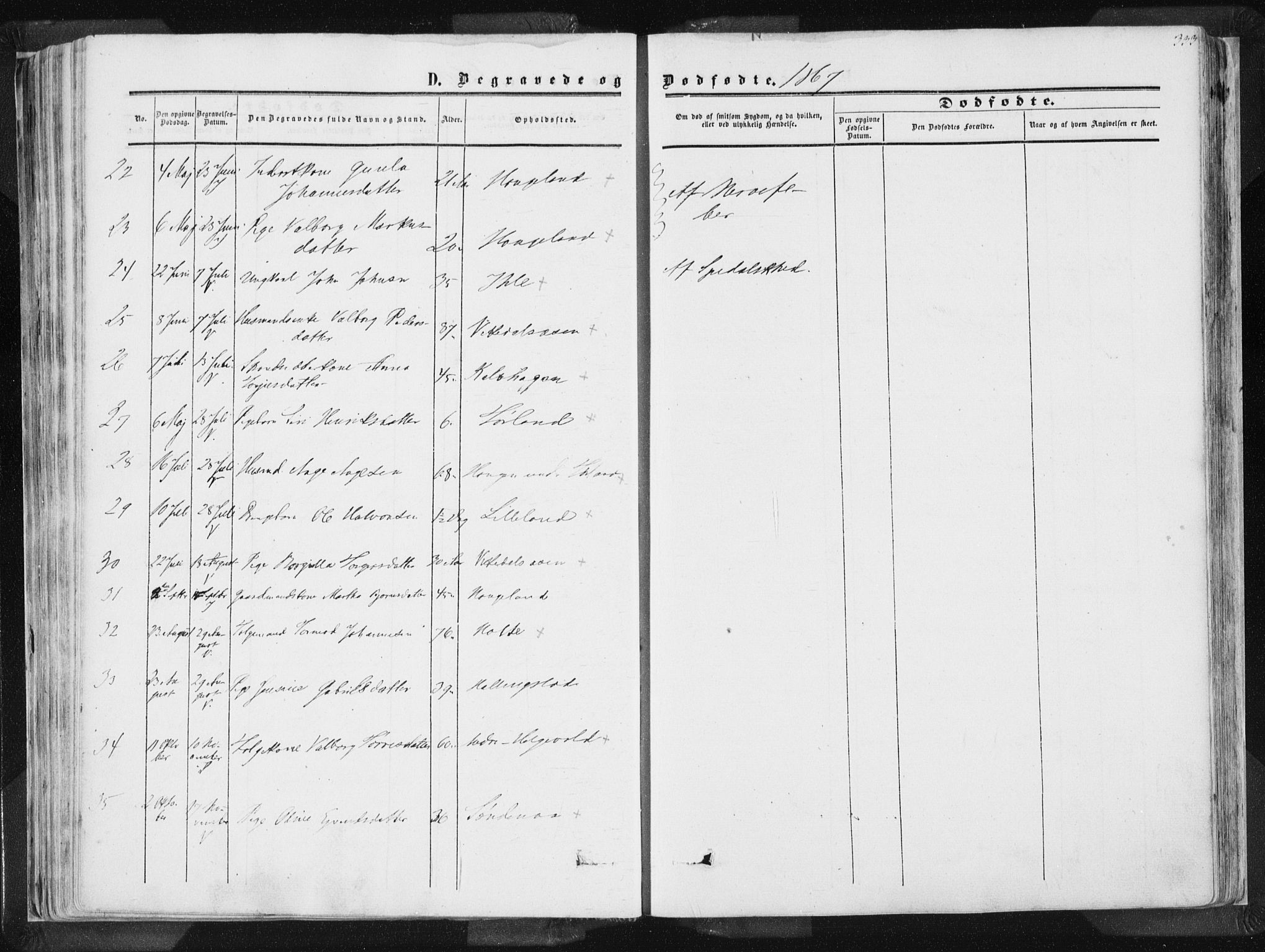 Vikedal sokneprestkontor, AV/SAST-A-101840/01/IV: Parish register (official) no. A 6.2, 1851-1867, p. 333