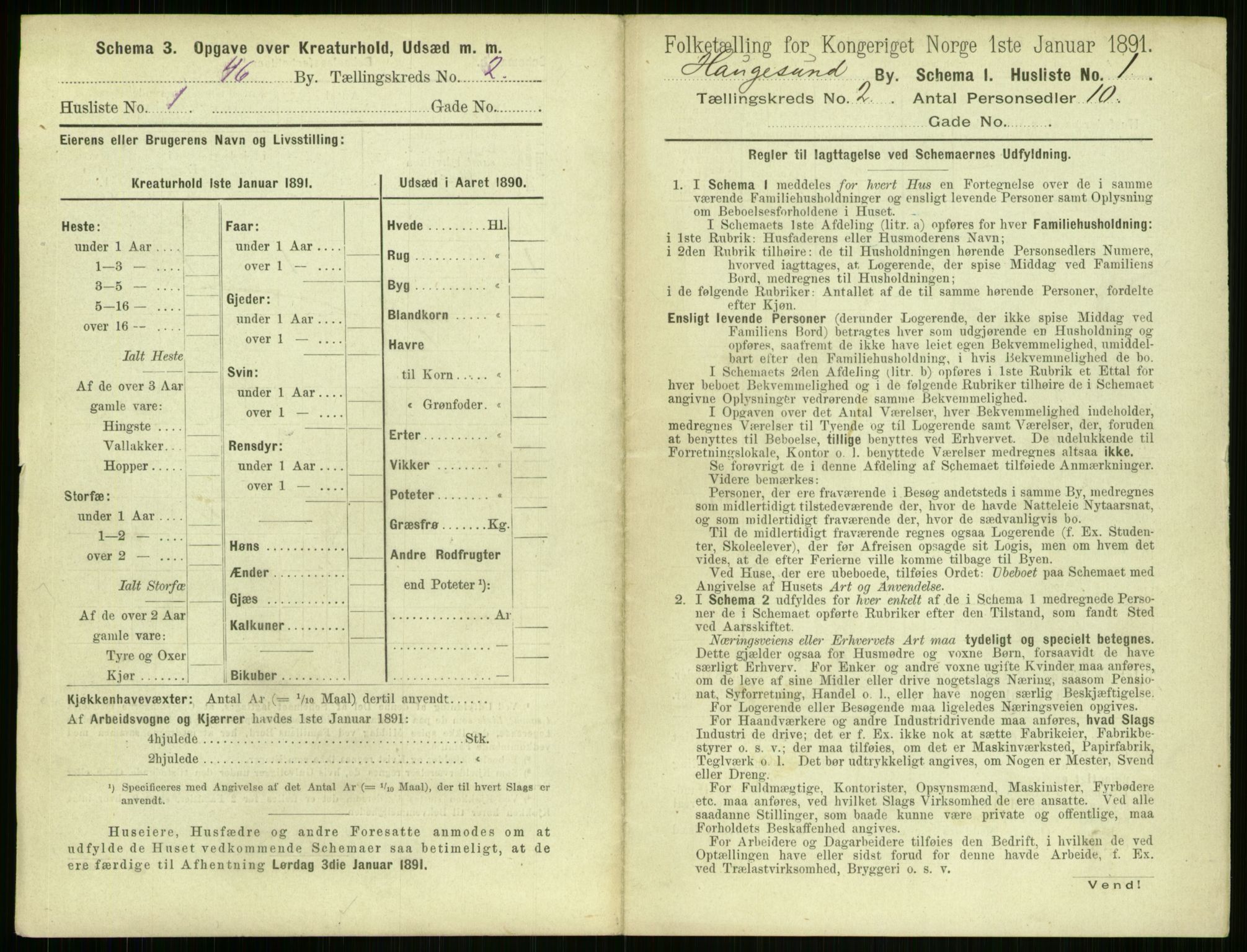 RA, 1891 census for 1106 Haugesund, 1891, p. 99