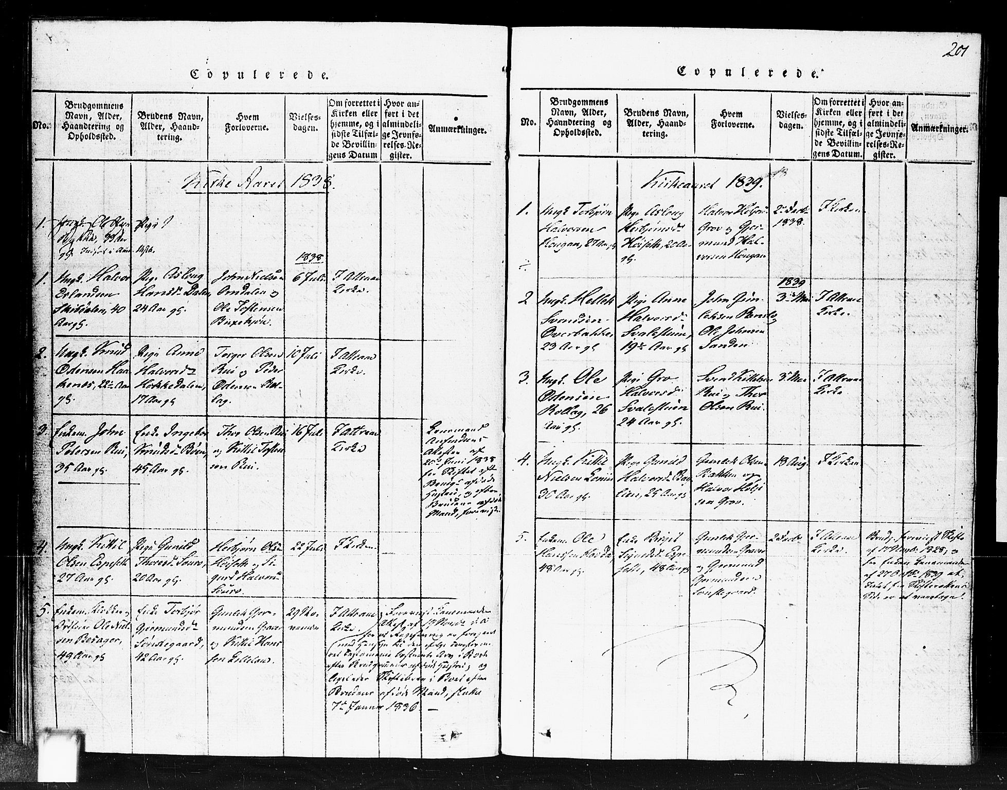 Gransherad kirkebøker, SAKO/A-267/F/Fb/L0002: Parish register (official) no. II 2, 1815-1843, p. 201