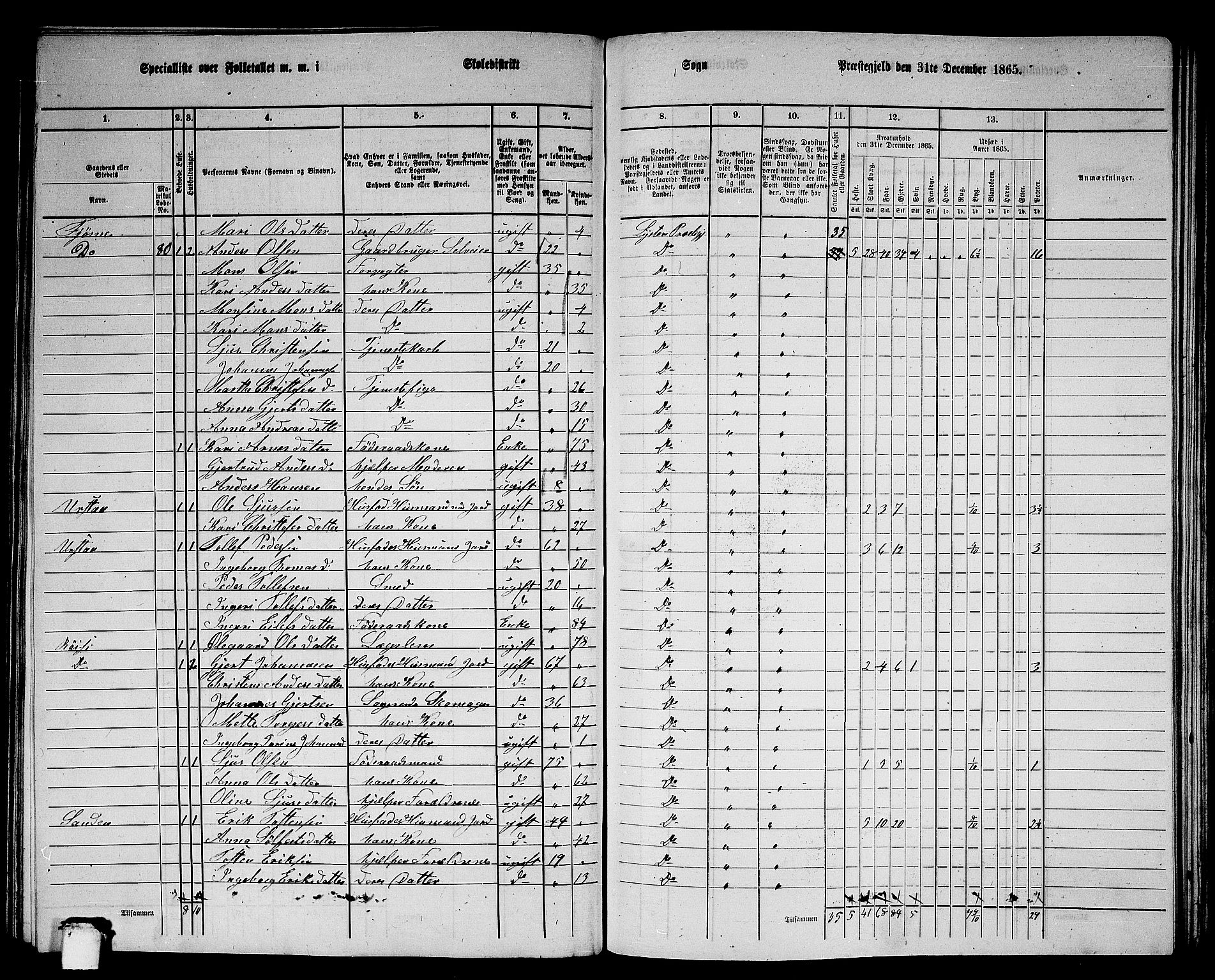 RA, 1865 census for Luster, 1865, p. 110