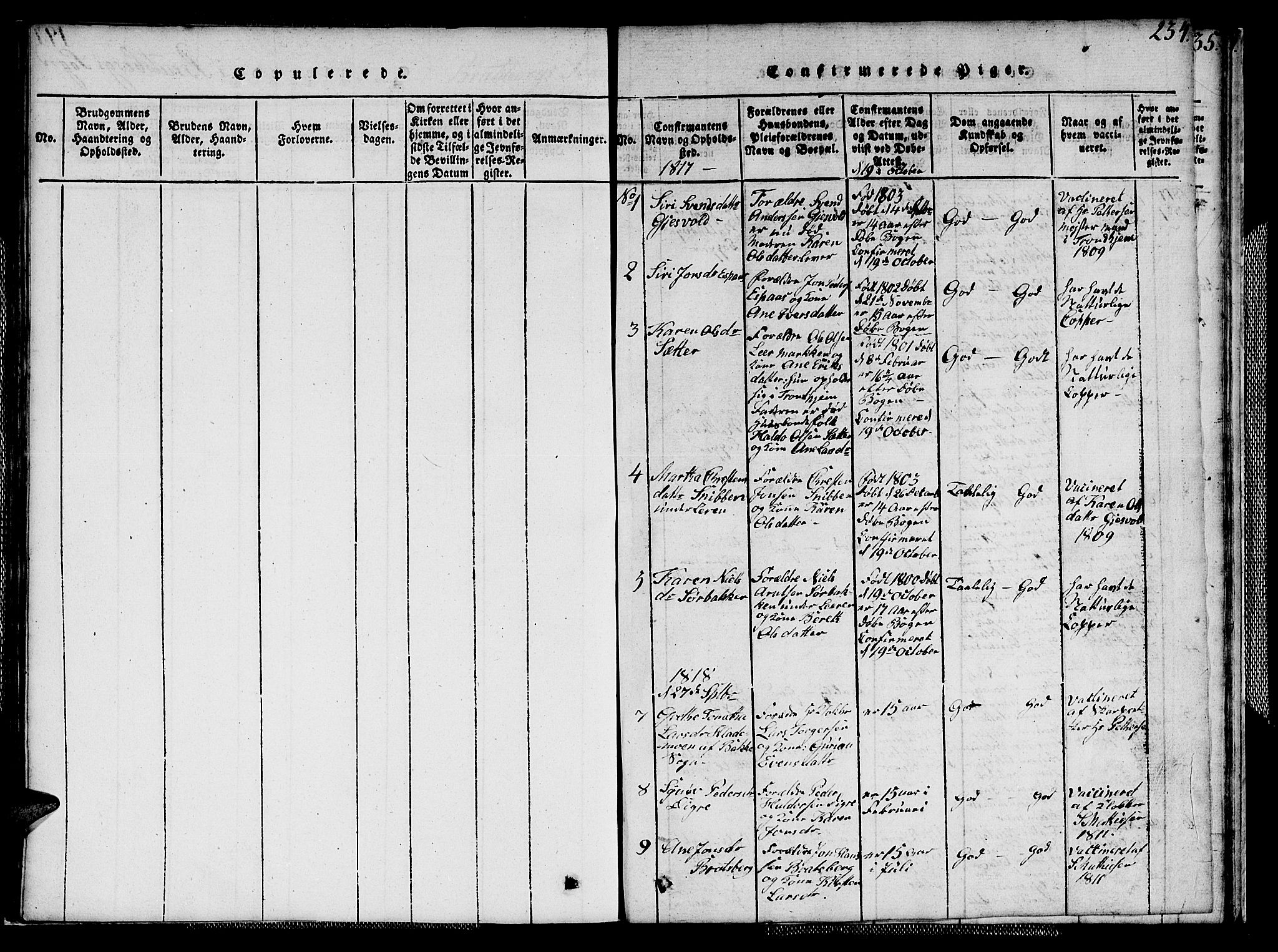 Ministerialprotokoller, klokkerbøker og fødselsregistre - Sør-Trøndelag, SAT/A-1456/608/L0336: Parish register (copy) no. 608C02, 1817-1827, p. 234