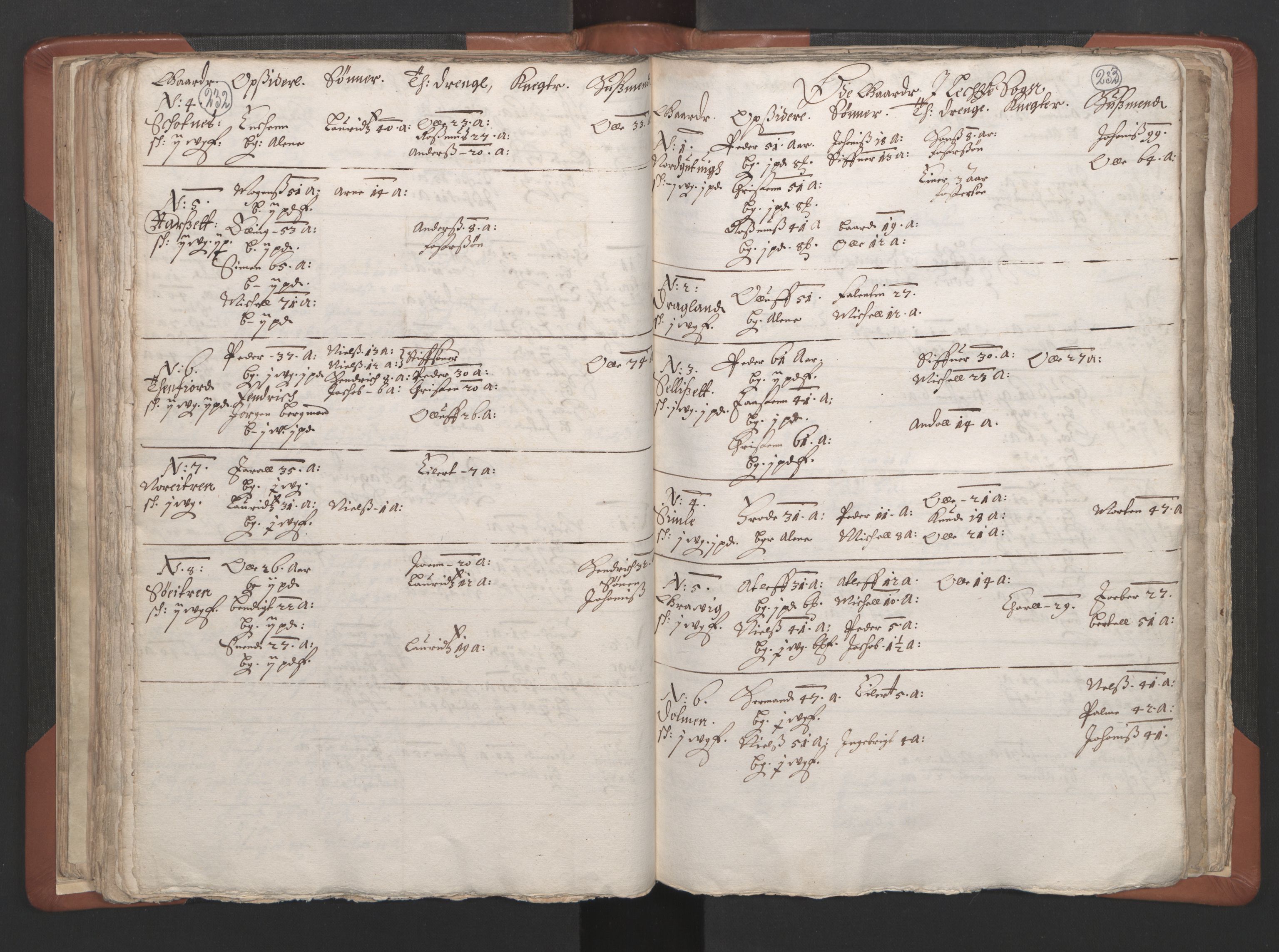 RA, Vicar's Census 1664-1666, no. 34: Namdal deanery, 1664-1666, p. 232-233