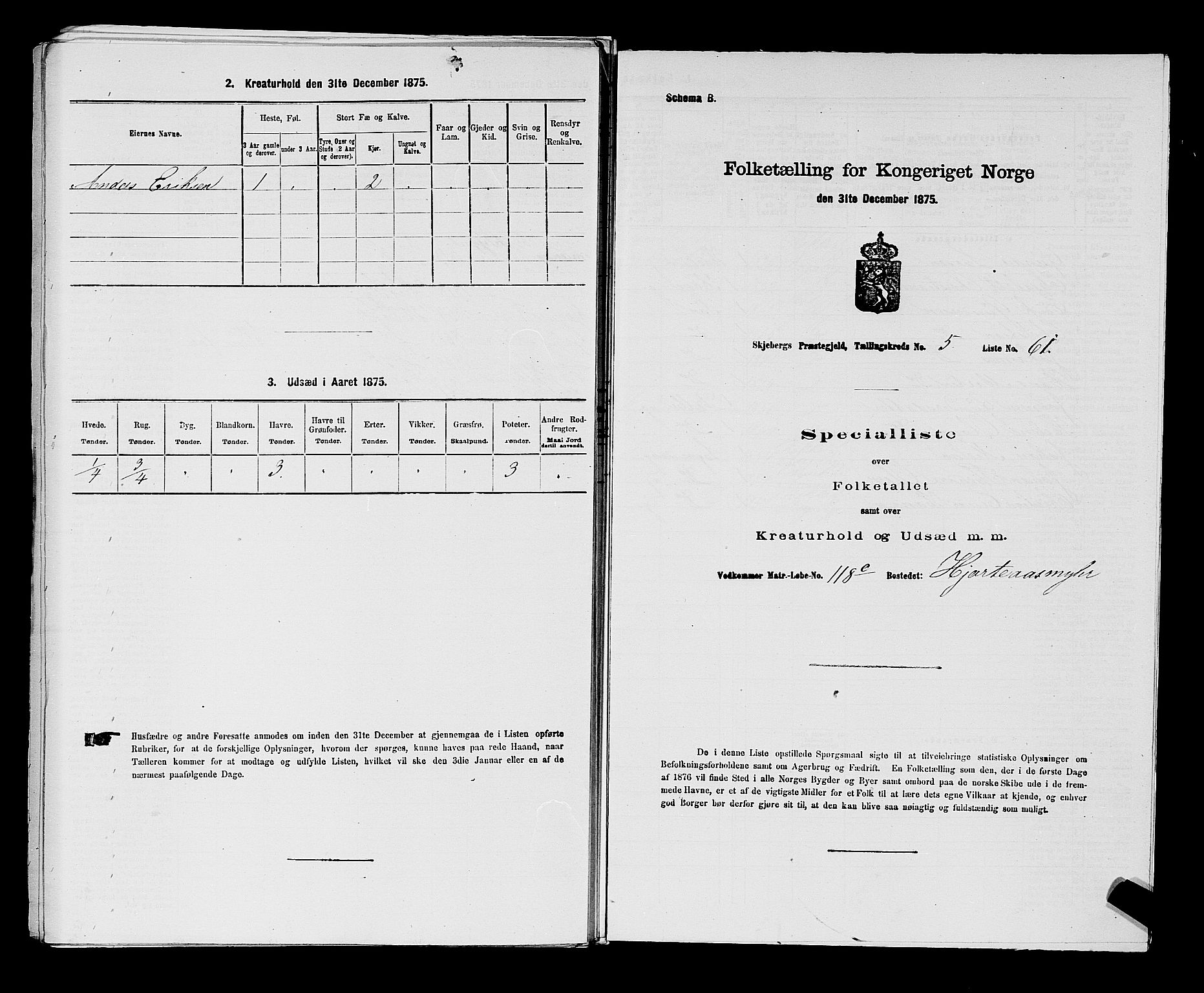 RA, 1875 census for 0115P Skjeberg, 1875, p. 1002