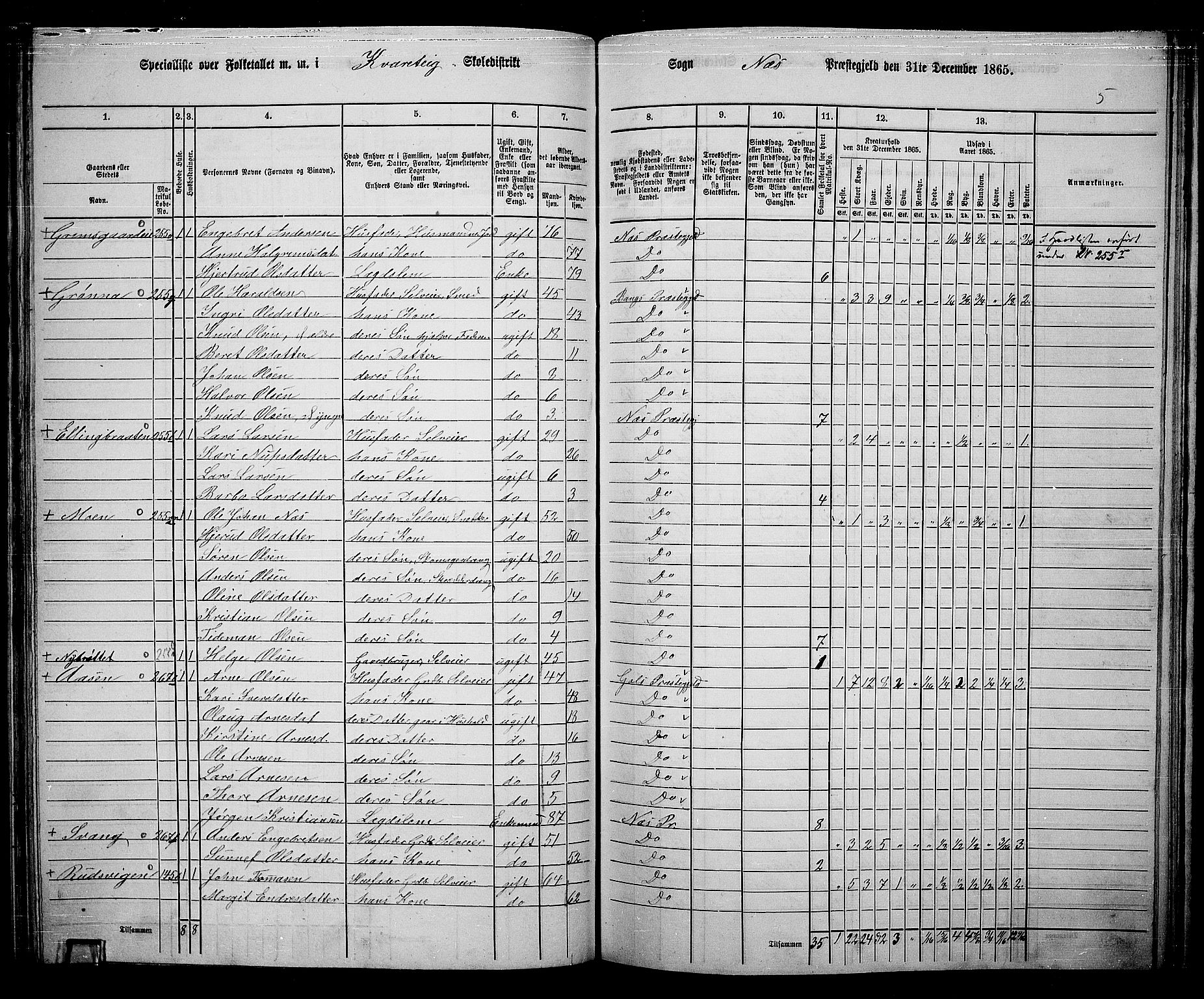 RA, 1865 census for Nes, 1865, p. 132