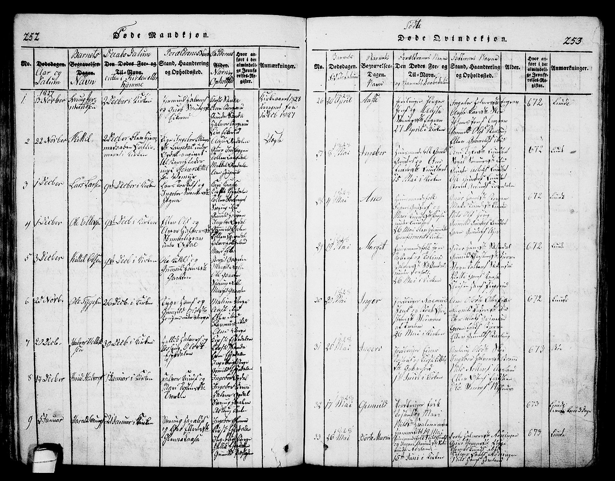 Bø kirkebøker, AV/SAKO-A-257/G/Ga/L0001: Parish register (copy) no. 1, 1815-1831, p. 252-253