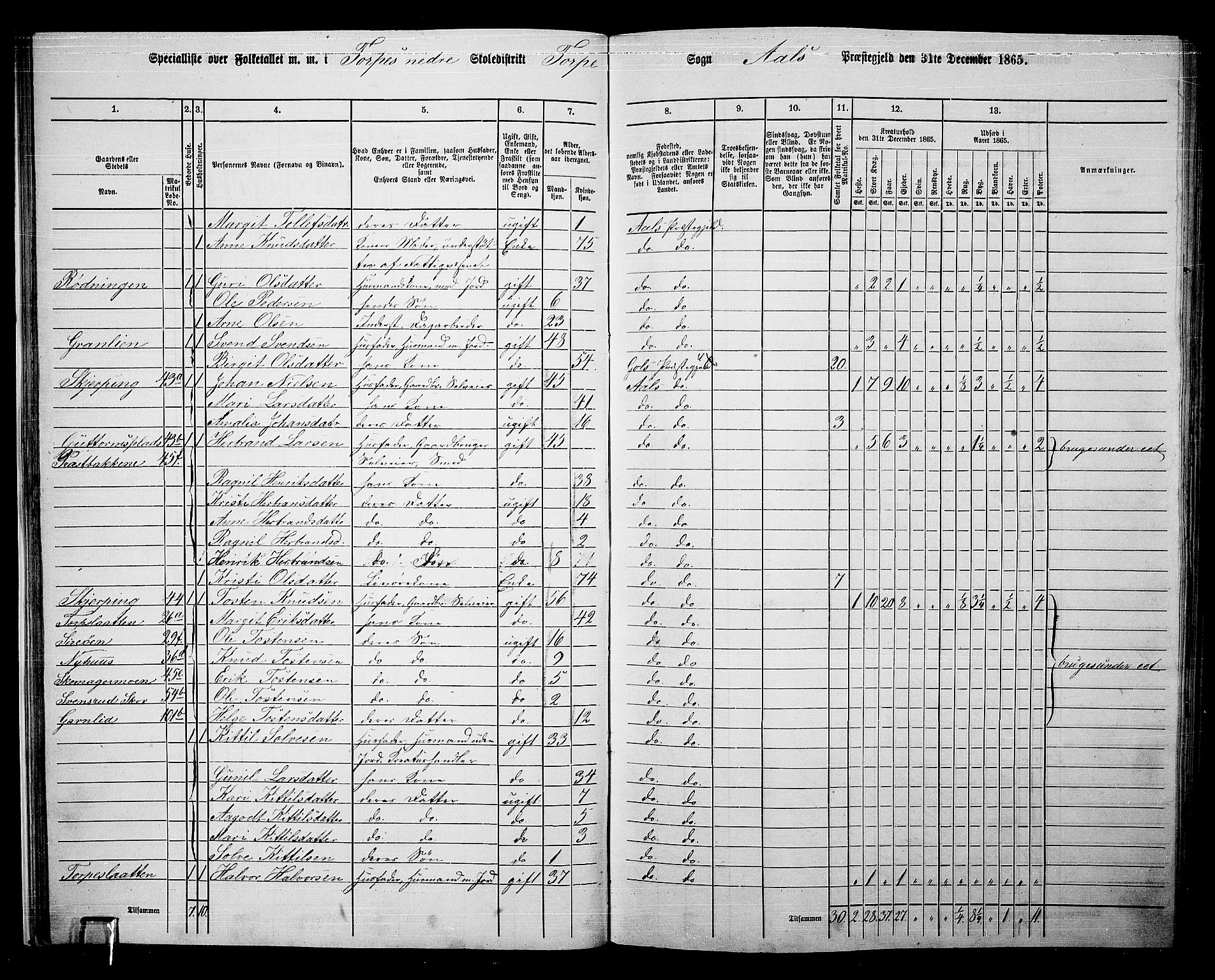 RA, 1865 census for Ål, 1865, p. 37