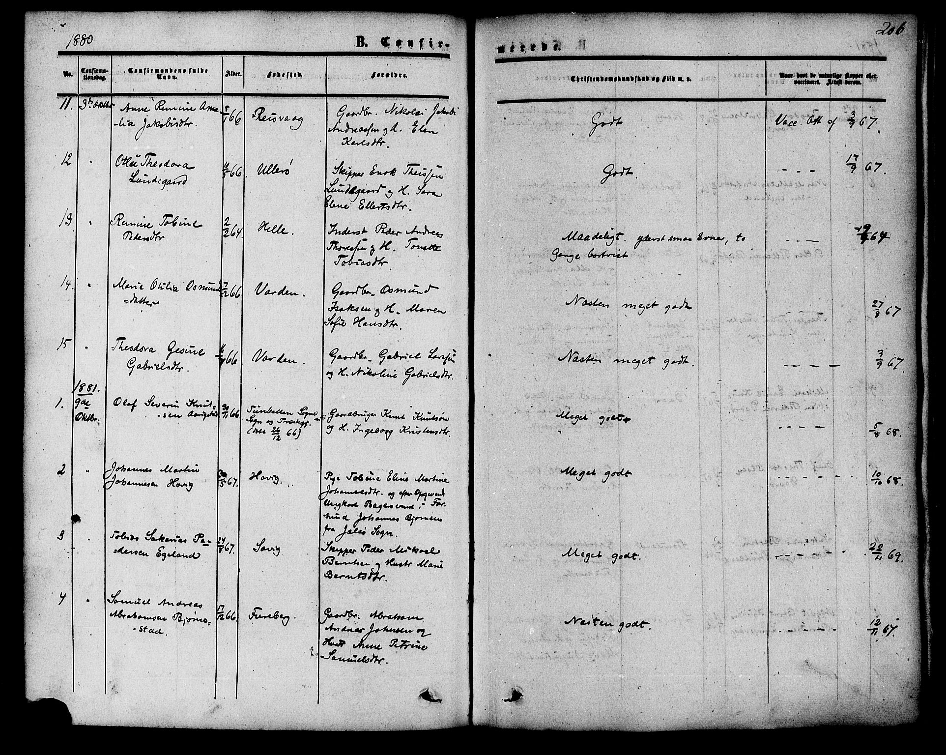 Herad sokneprestkontor, SAK/1111-0018/F/Fa/Fab/L0004: Parish register (official) no. A 4, 1853-1885, p. 206