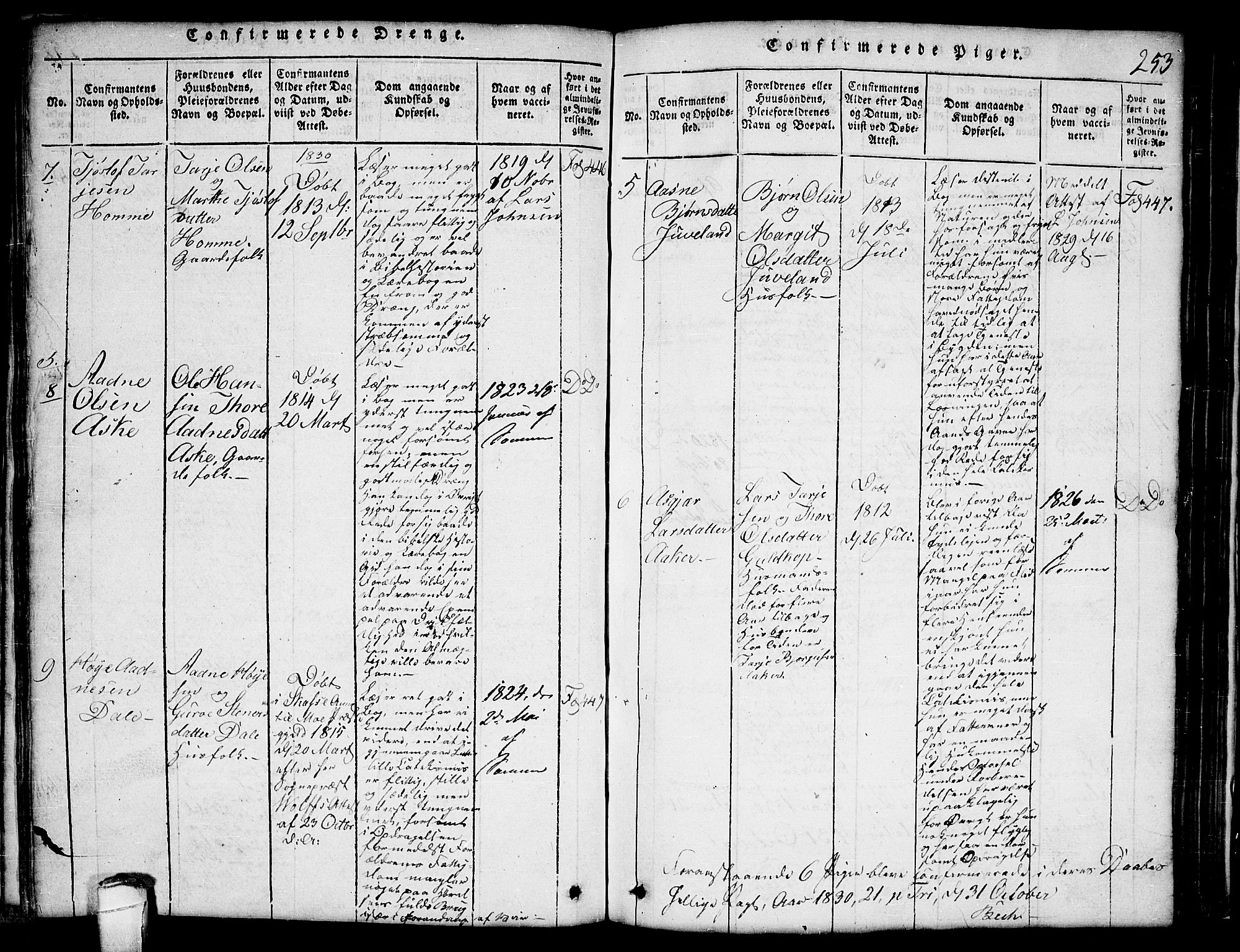 Lårdal kirkebøker, SAKO/A-284/G/Ga/L0001: Parish register (copy) no. I 1, 1815-1861, p. 253