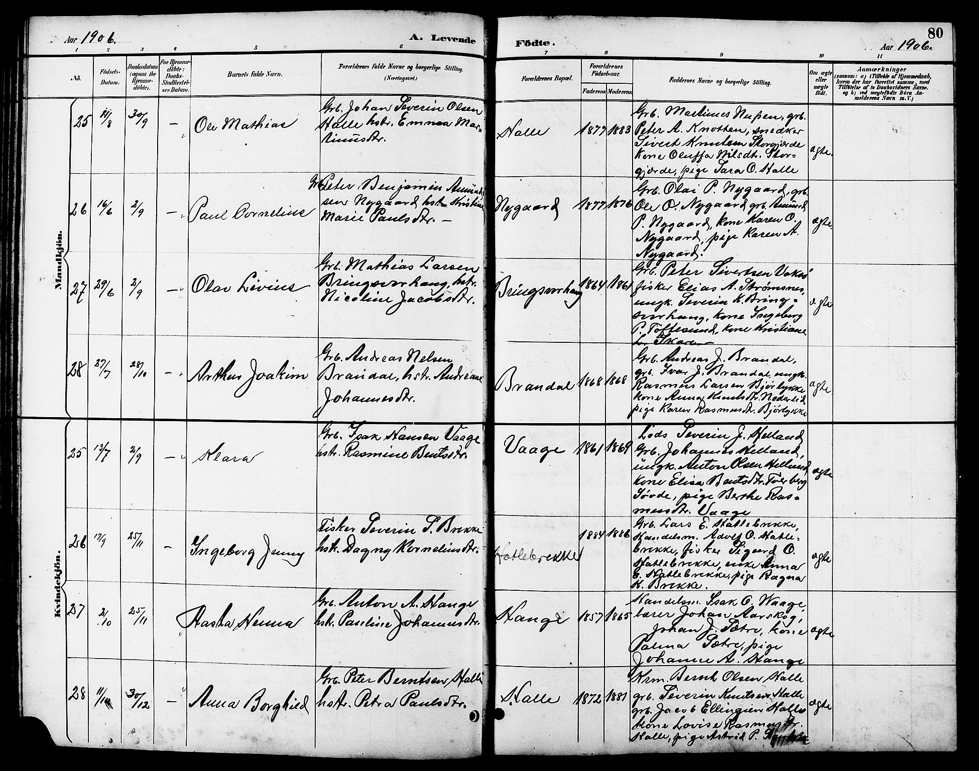 Ministerialprotokoller, klokkerbøker og fødselsregistre - Møre og Romsdal, AV/SAT-A-1454/503/L0049: Parish register (copy) no. 503C04, 1894-1915, p. 80