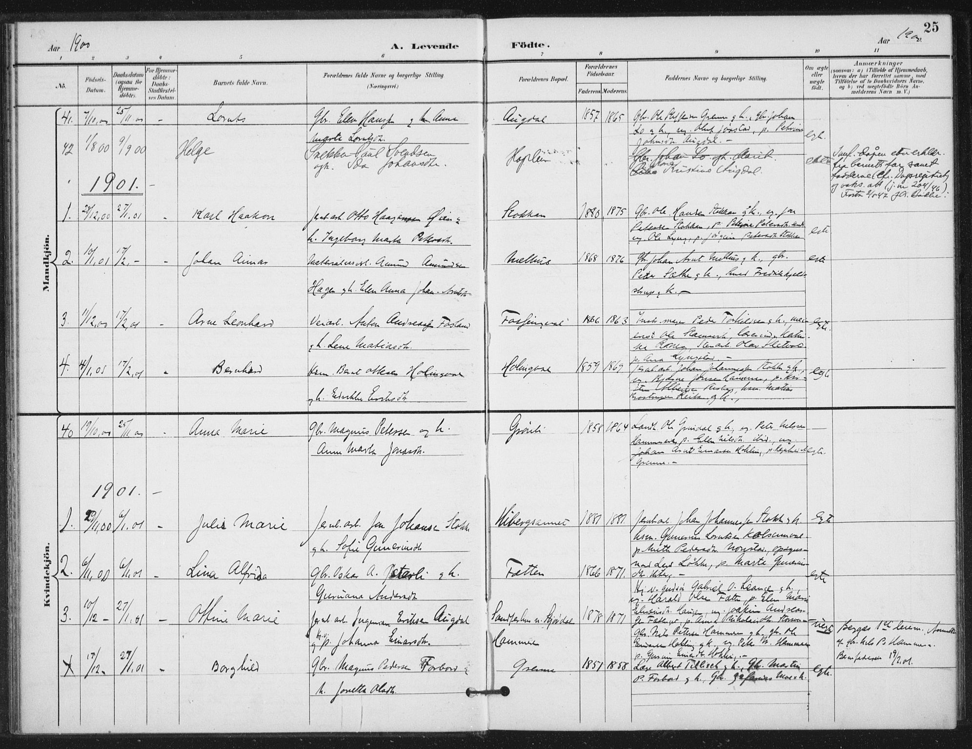 Ministerialprotokoller, klokkerbøker og fødselsregistre - Nord-Trøndelag, SAT/A-1458/714/L0131: Parish register (official) no. 714A02, 1896-1918, p. 25