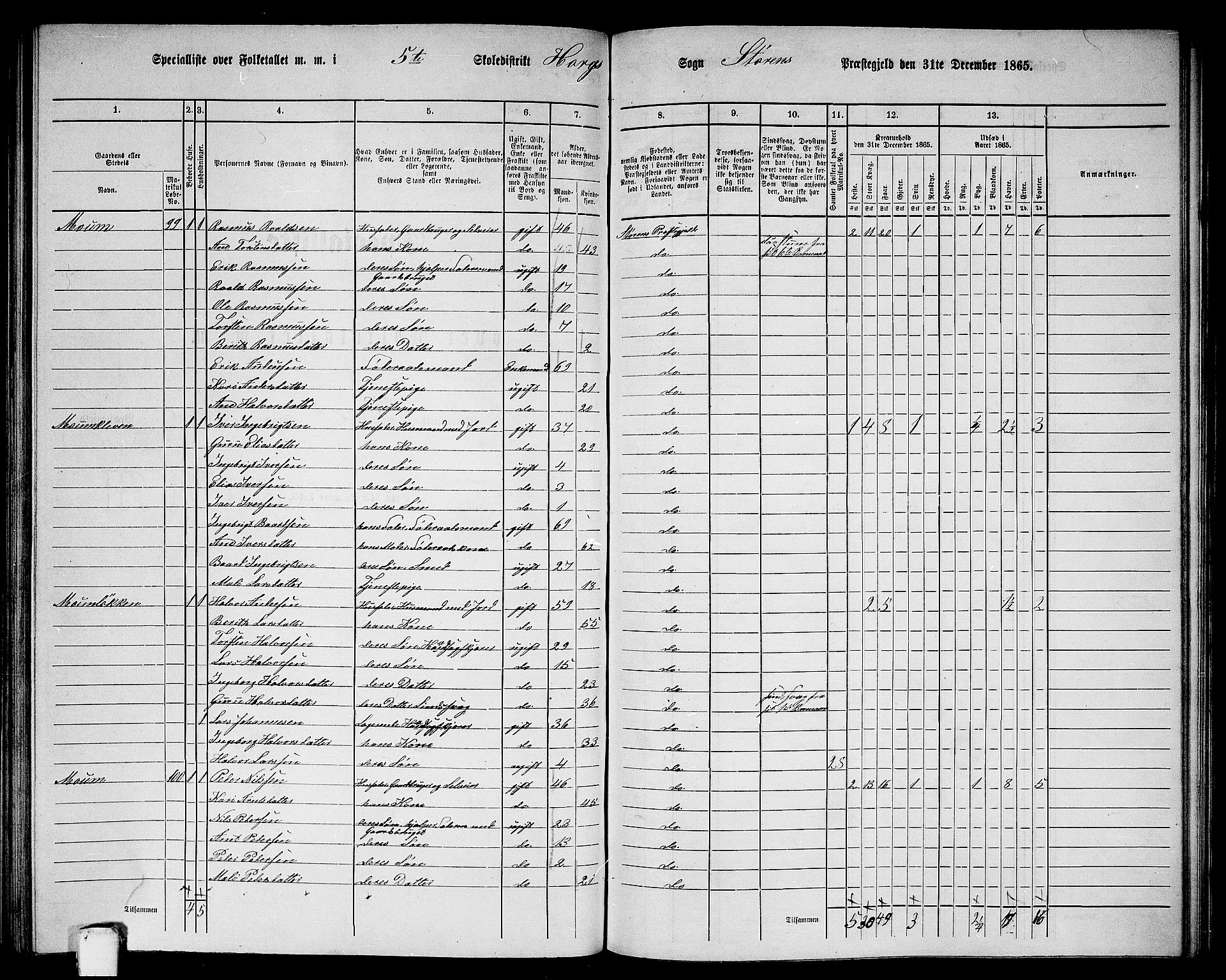 RA, 1865 census for Støren, 1865, p. 184