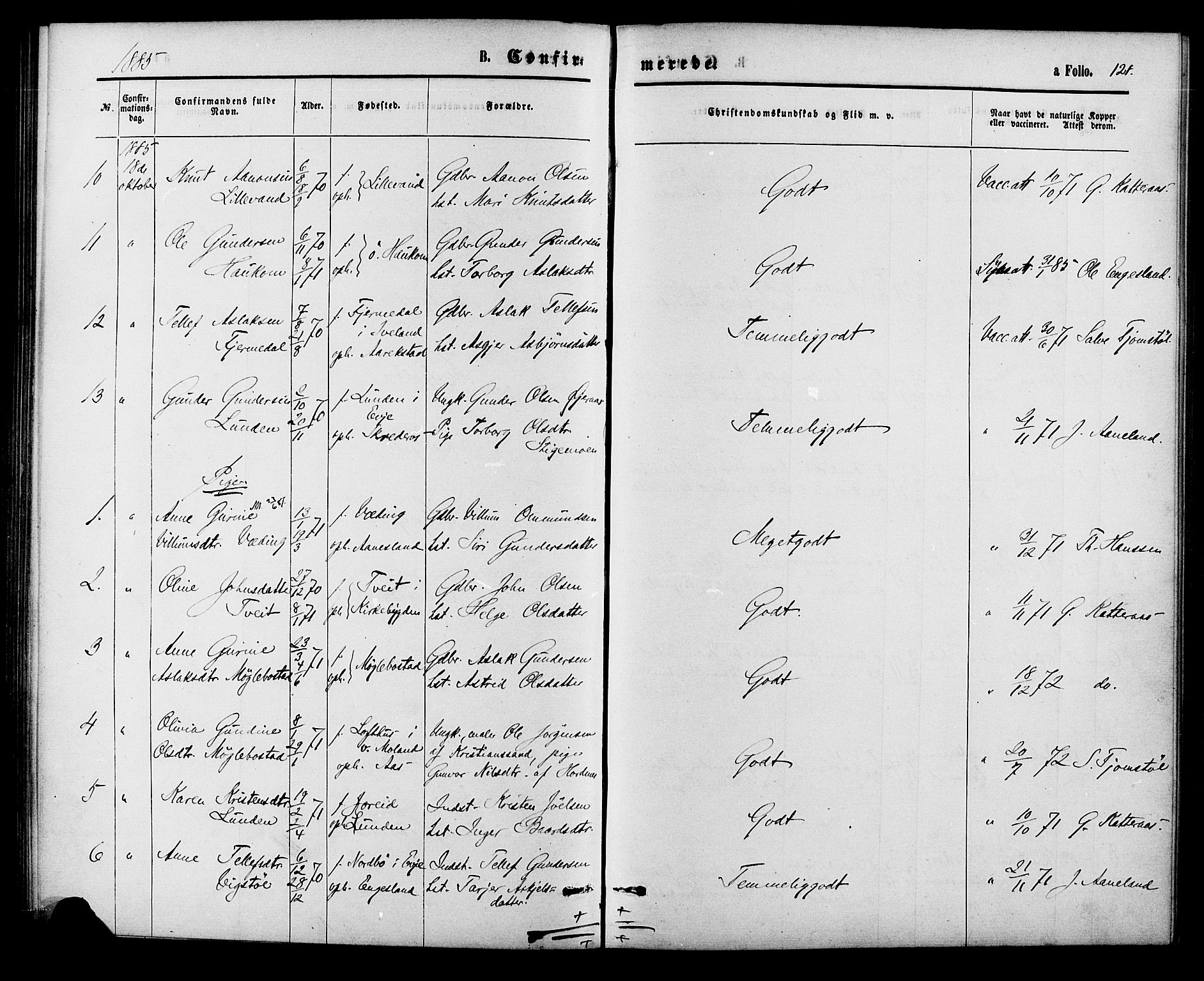 Herefoss sokneprestkontor, AV/SAK-1111-0019/F/Fa/Fab/L0003: Parish register (official) no. A 3, 1875-1886, p. 121