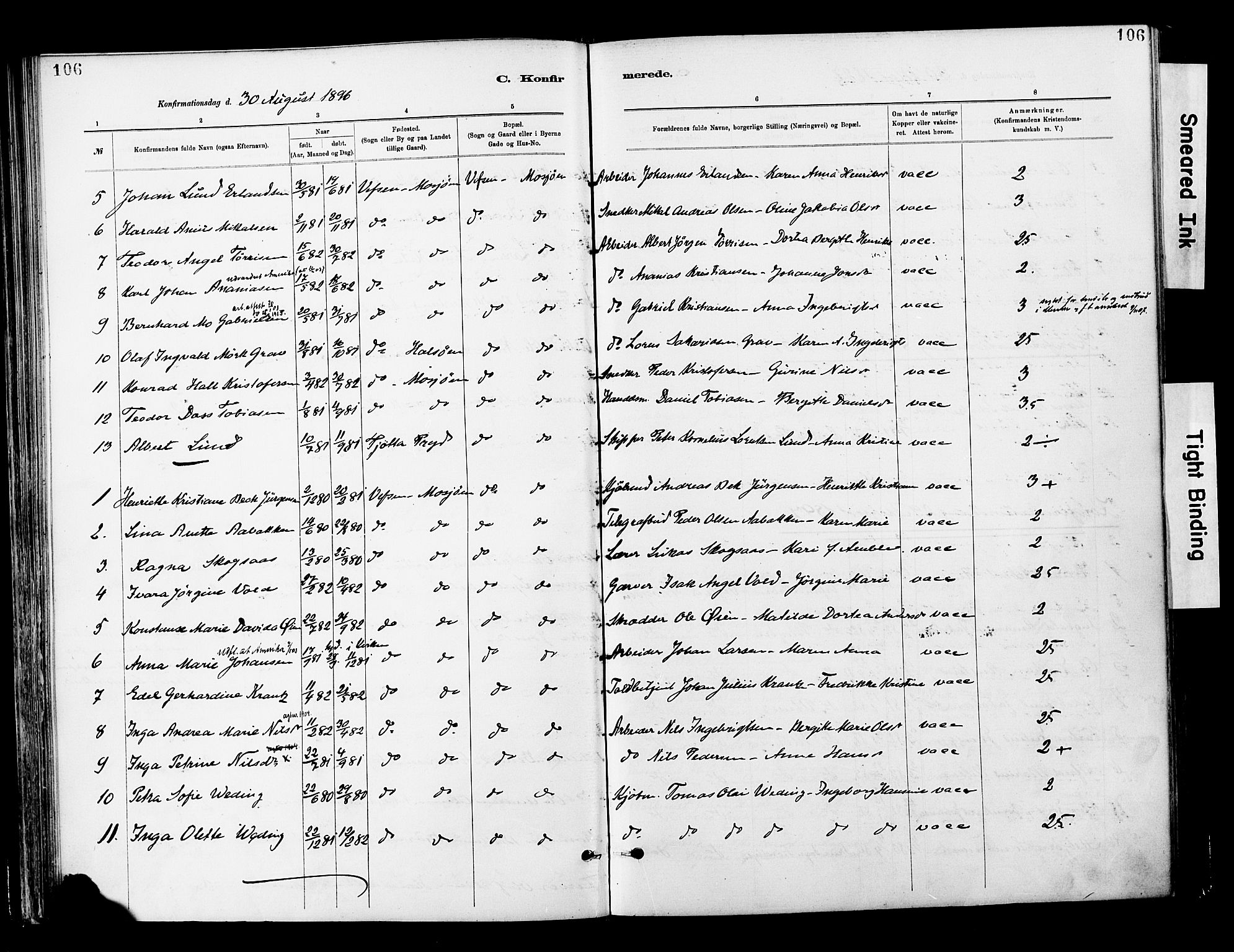 Ministerialprotokoller, klokkerbøker og fødselsregistre - Nordland, SAT/A-1459/820/L0296: Parish register (official) no. 820A17, 1880-1903, p. 106