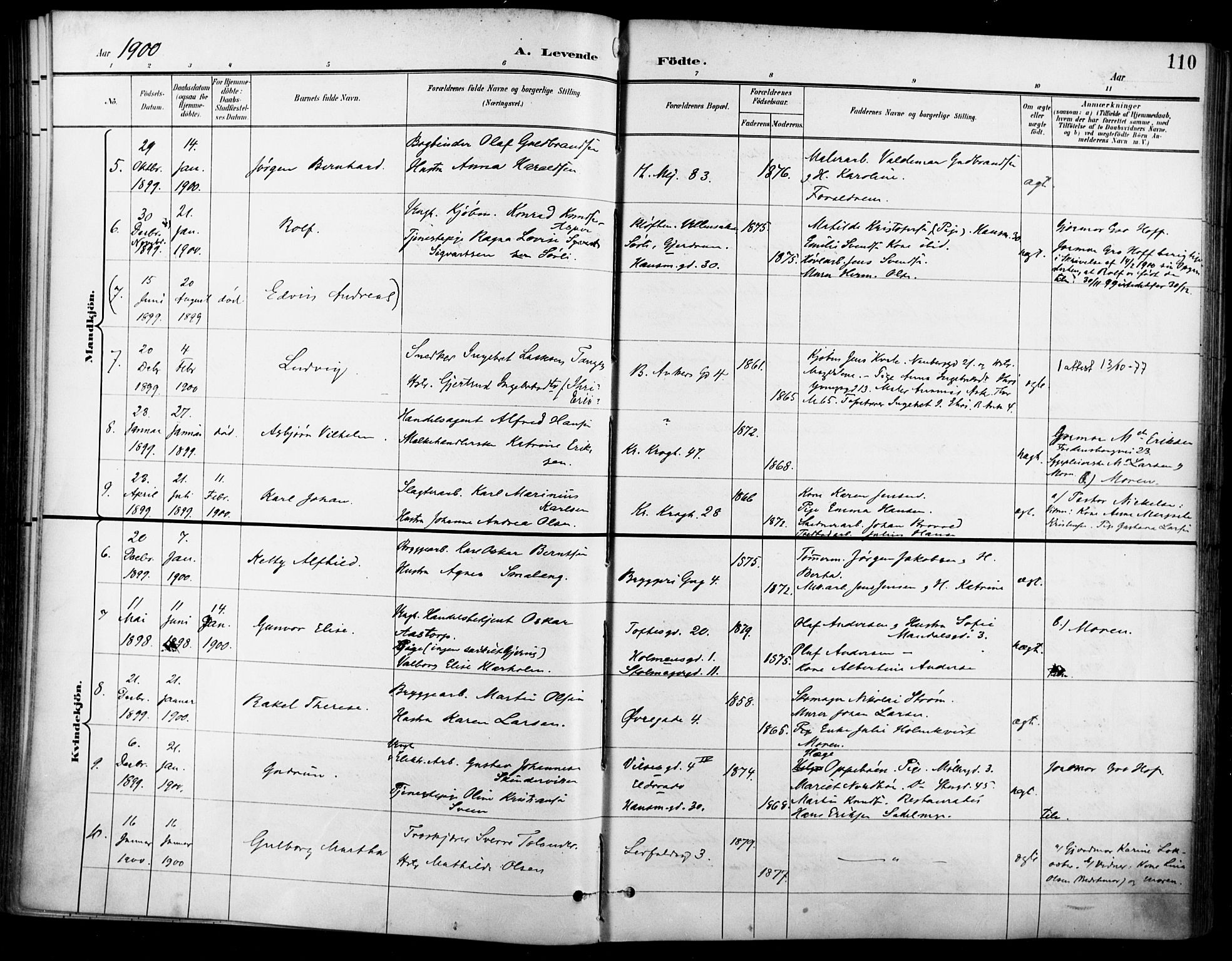 Jakob prestekontor Kirkebøker, AV/SAO-A-10850/F/Fa/L0005: Parish register (official) no. 5, 1896-1903, p. 110