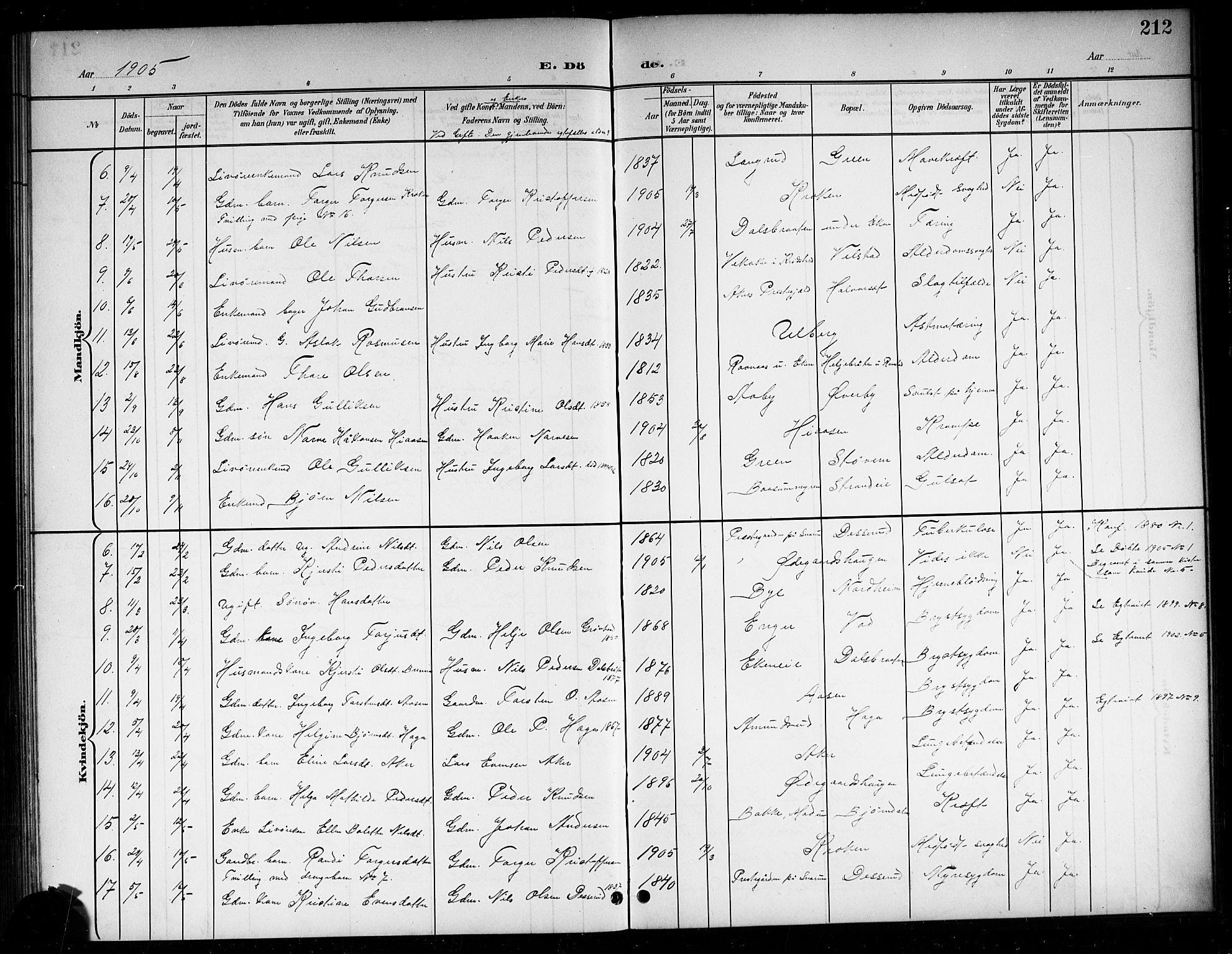 Sigdal kirkebøker, AV/SAKO-A-245/G/Ga/L0006: Parish register (copy) no. I 6, 1901-1916, p. 212