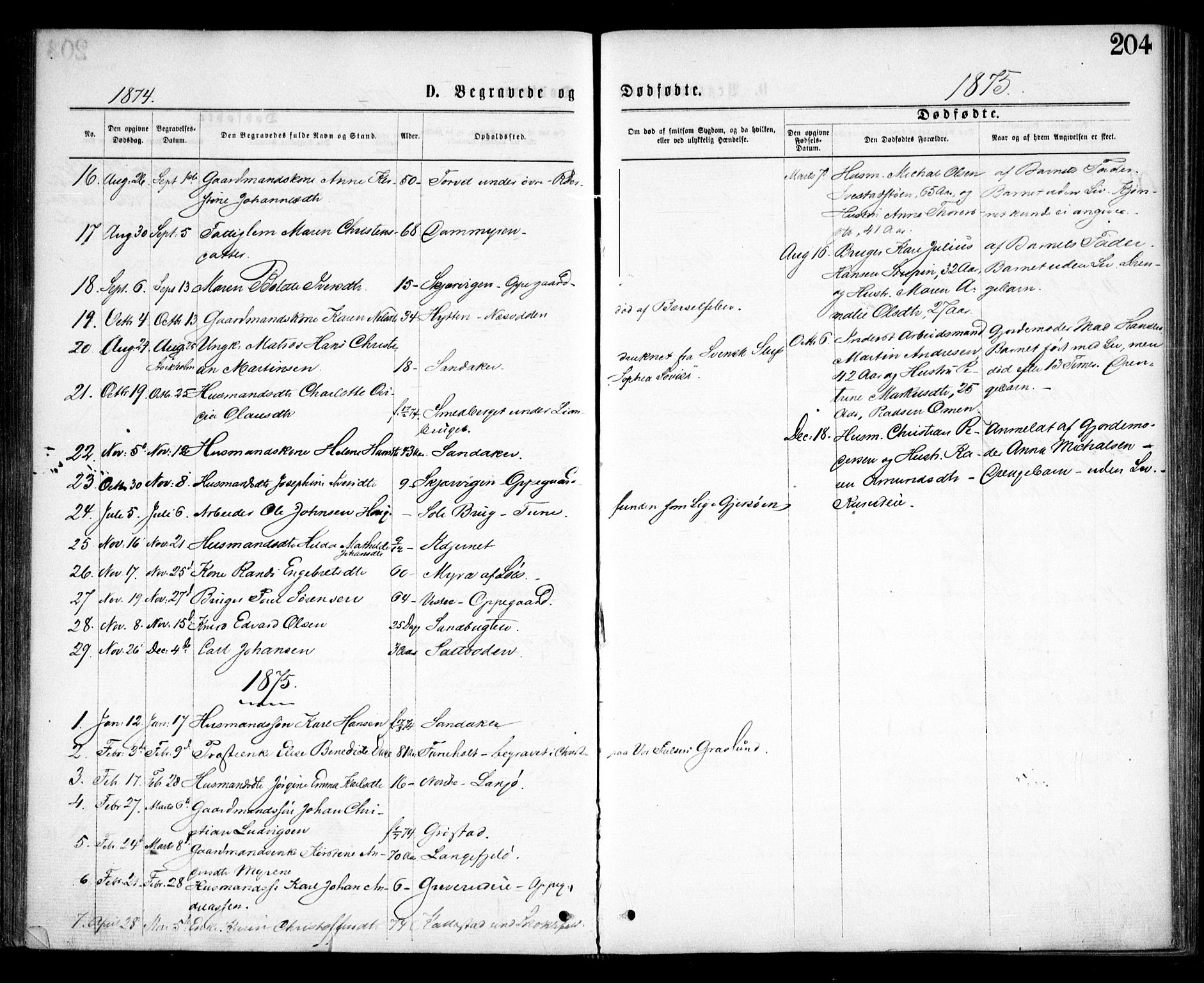 Nesodden prestekontor Kirkebøker, SAO/A-10013/F/Fa/L0008: Parish register (official) no. I 8, 1869-1879, p. 204