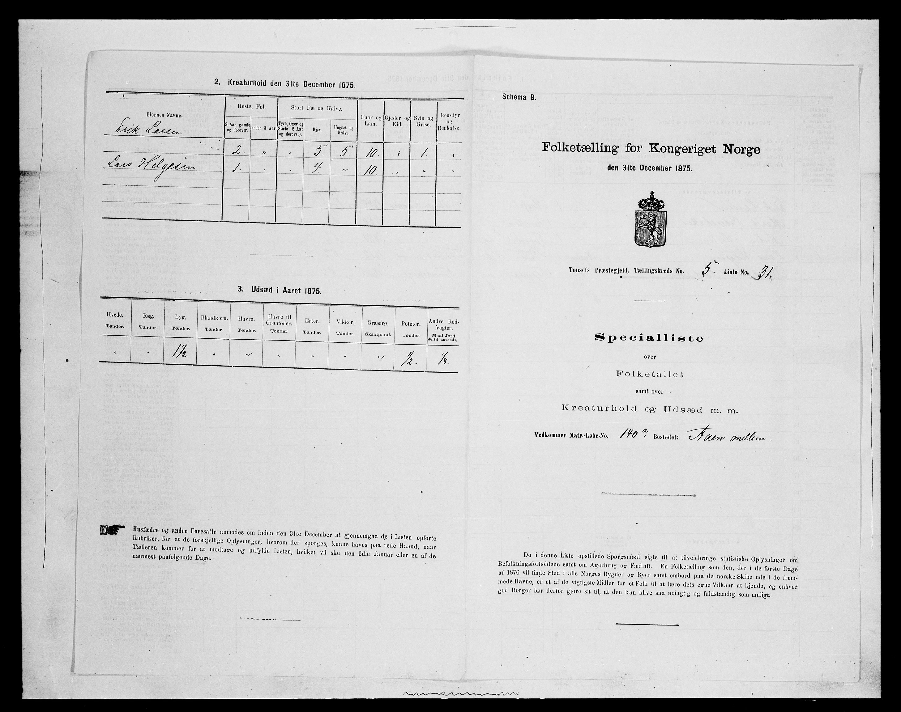 SAH, 1875 census for 0437P Tynset, 1875, p. 625